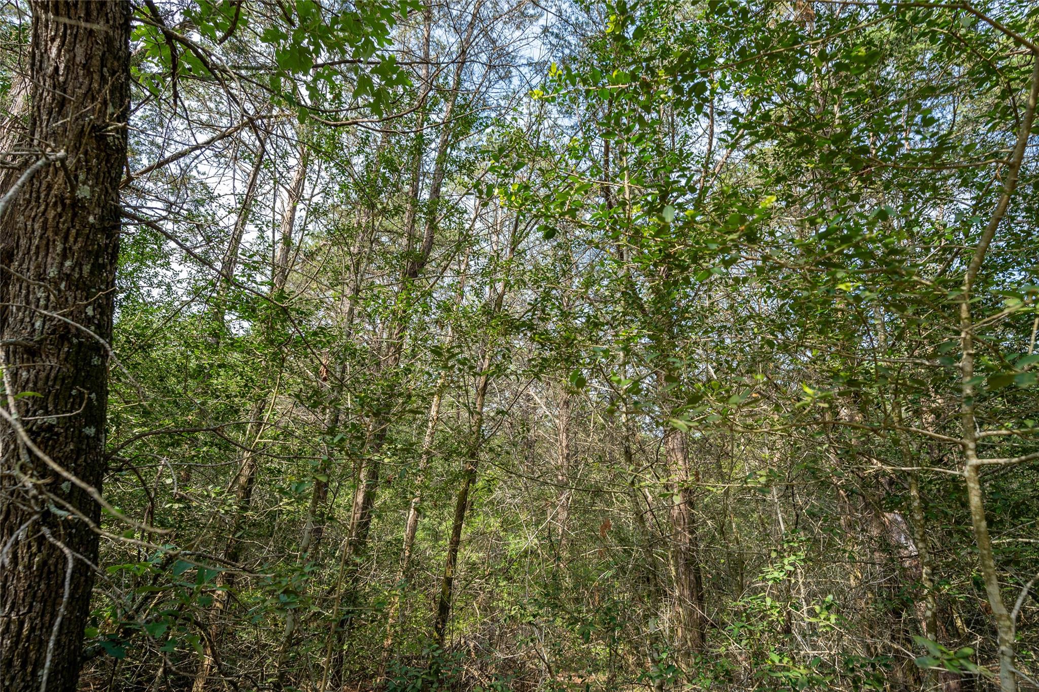 TBD FM 713 Highway, Rosanky, TX 78953