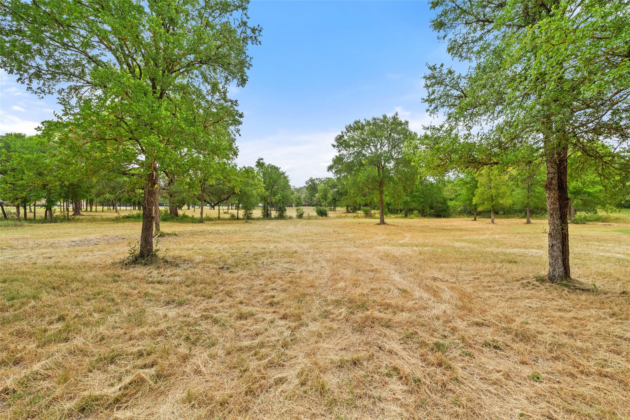 3321 Lost Oasis Holw, Austin, TX 78739