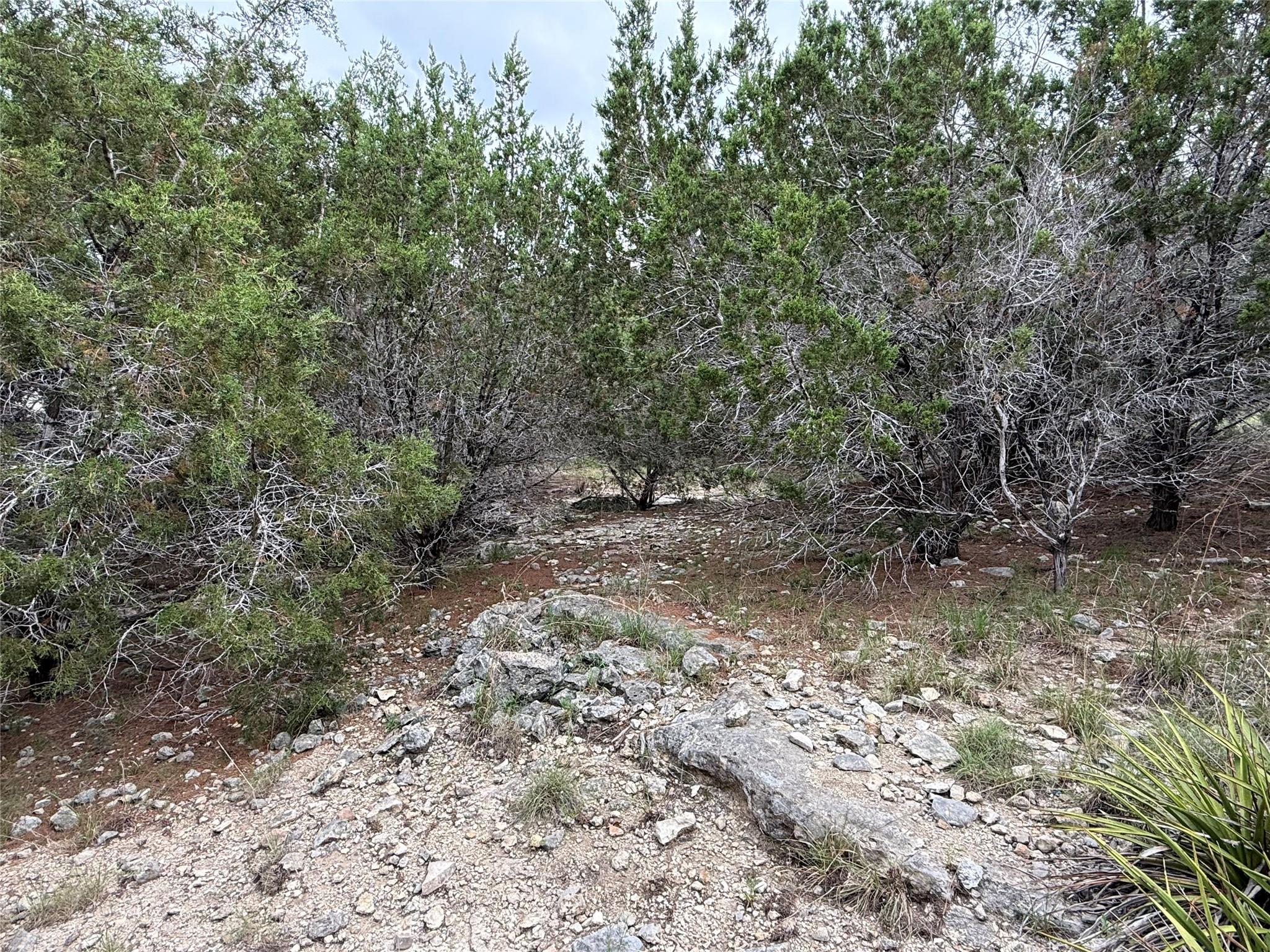22307 Shotts Dr, Spicewood, TX 78669