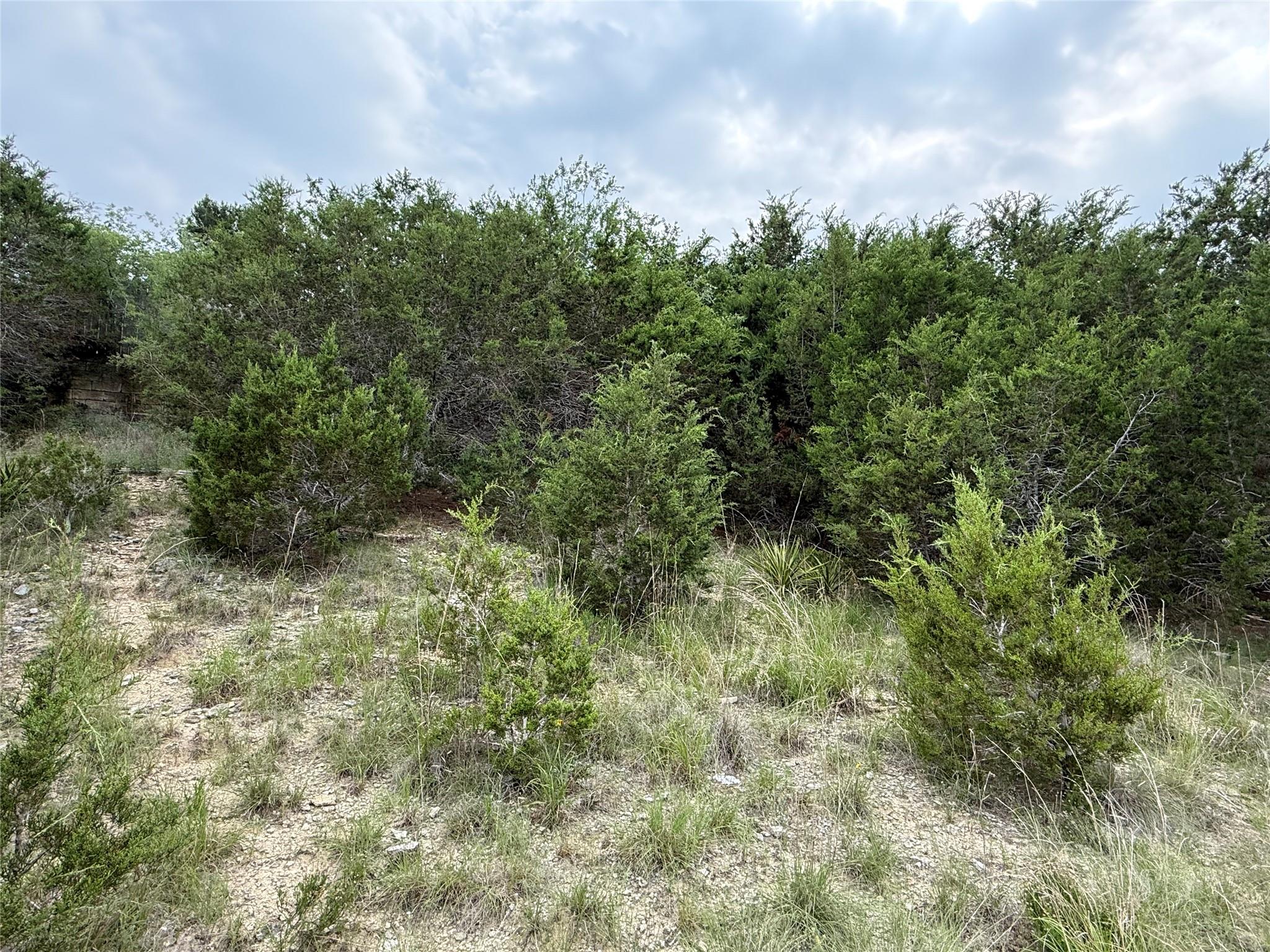22307 Shotts Dr, Spicewood, TX 78669