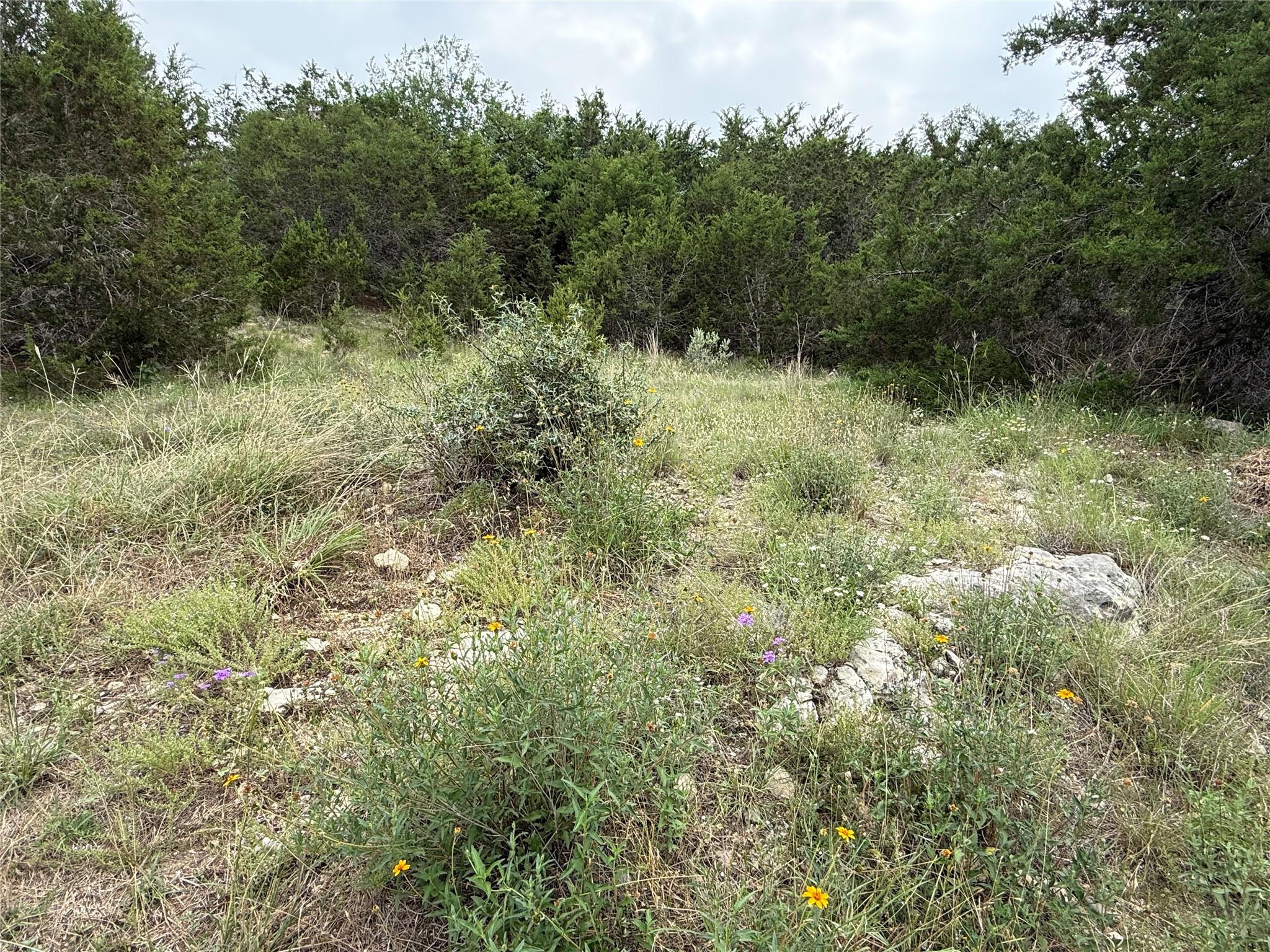 22307 Shotts Dr, Spicewood, TX 78669