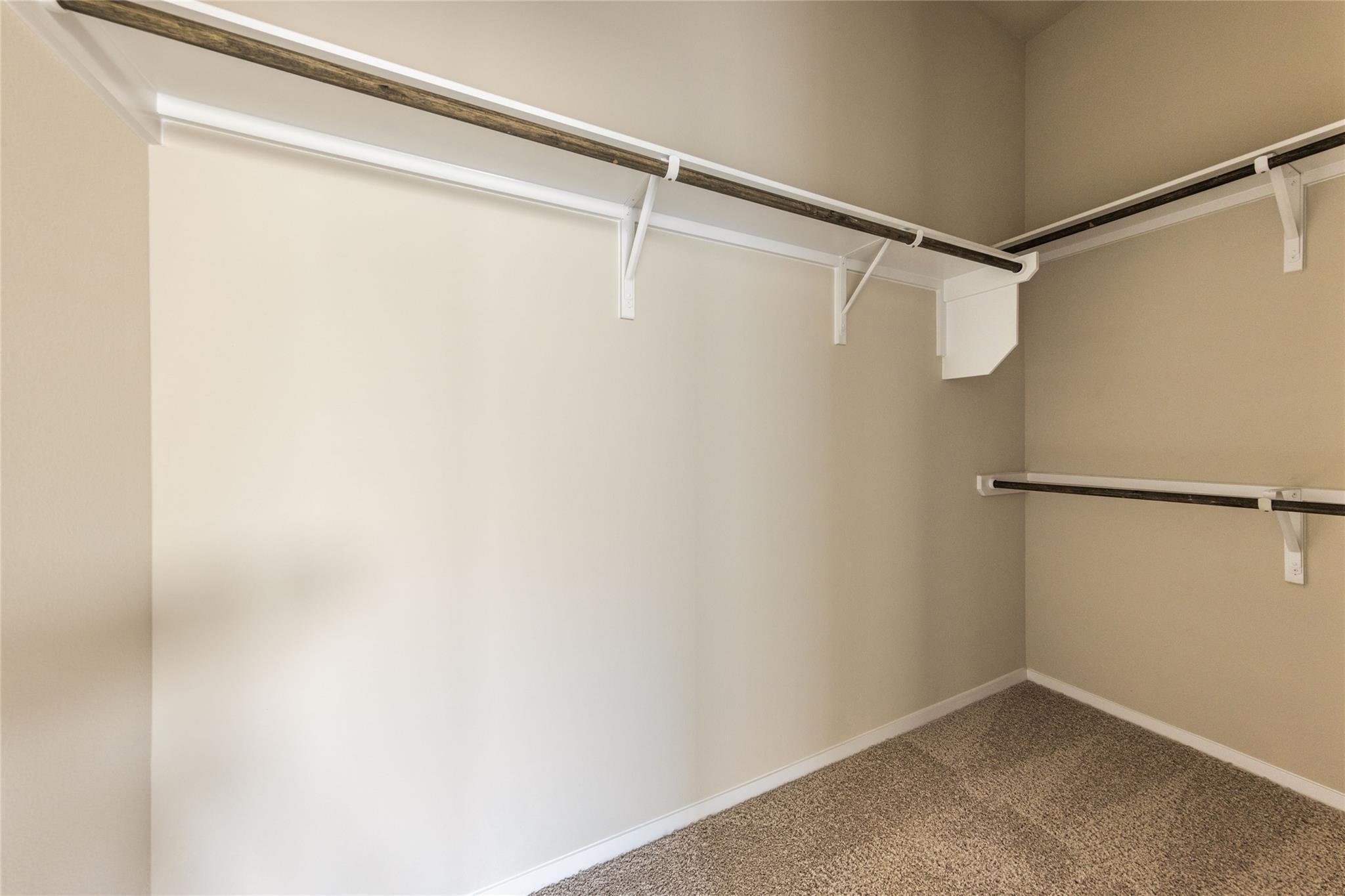 205 Spiny Lizard Ln, San Marcos, TX 78666
