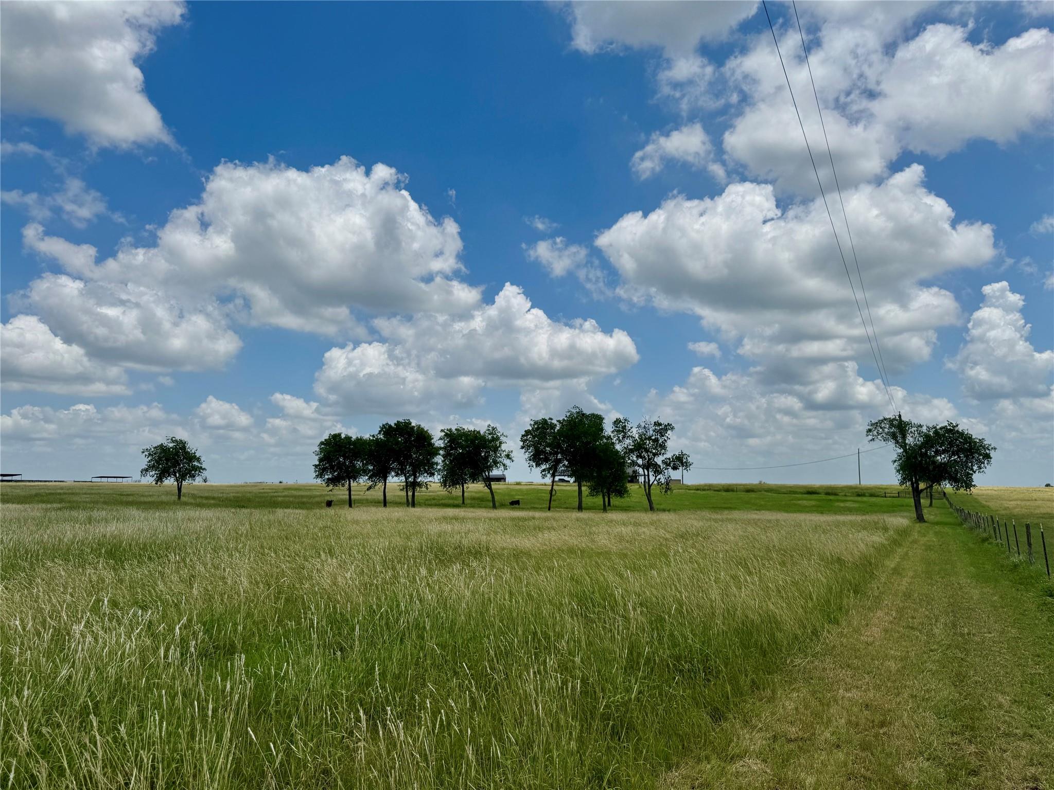 12 Acres Smith Dairy Rd, Belton, TX 76513