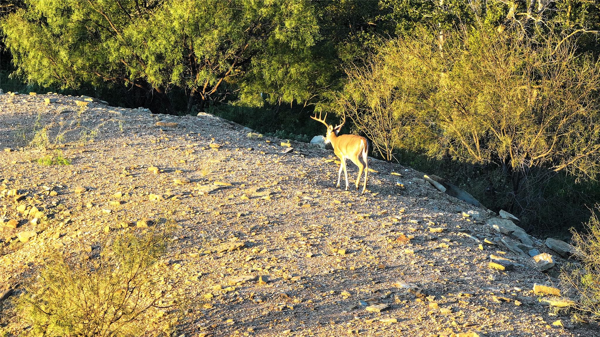 392 County Road 230, San Saba, TX 76877