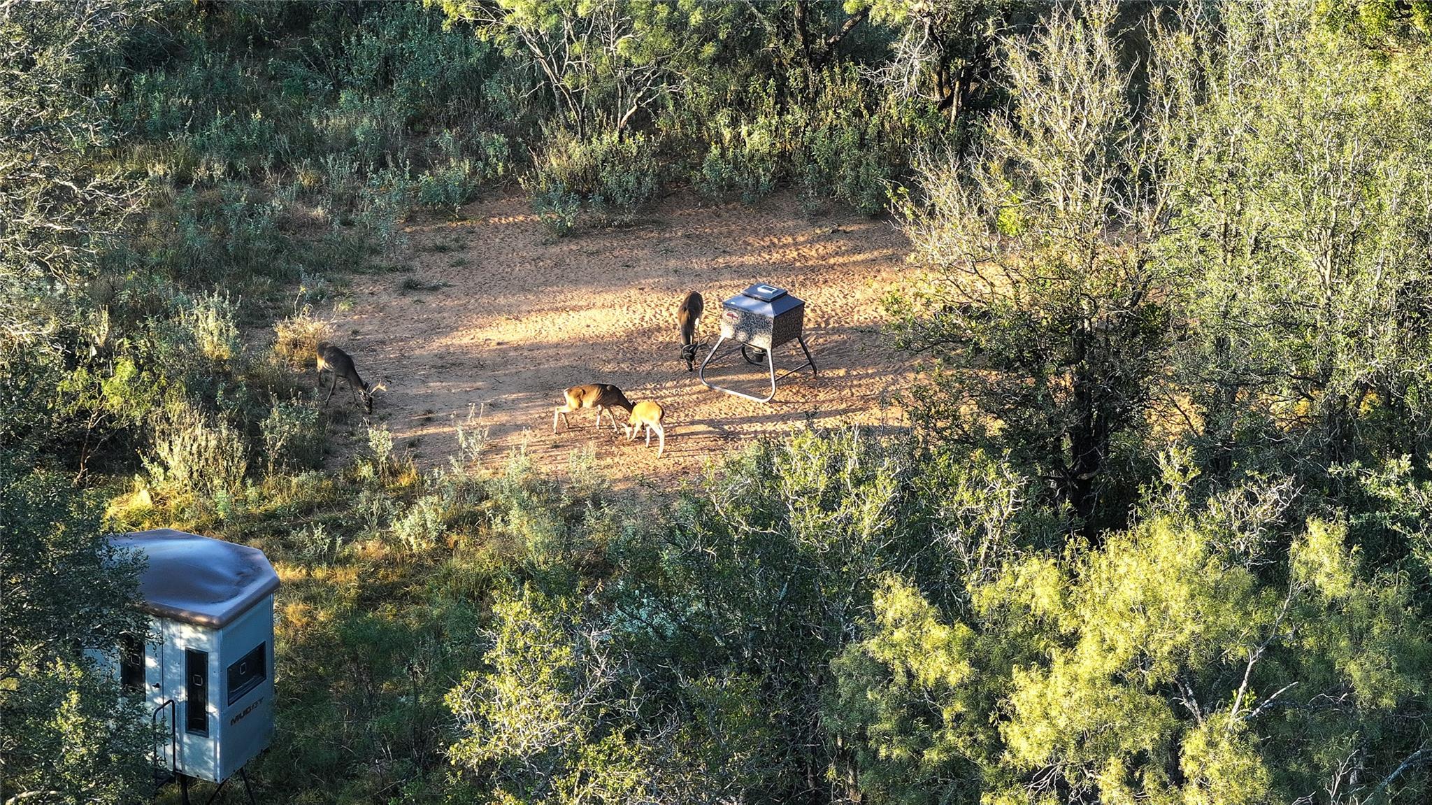 392 County Road 230, San Saba, TX 76877