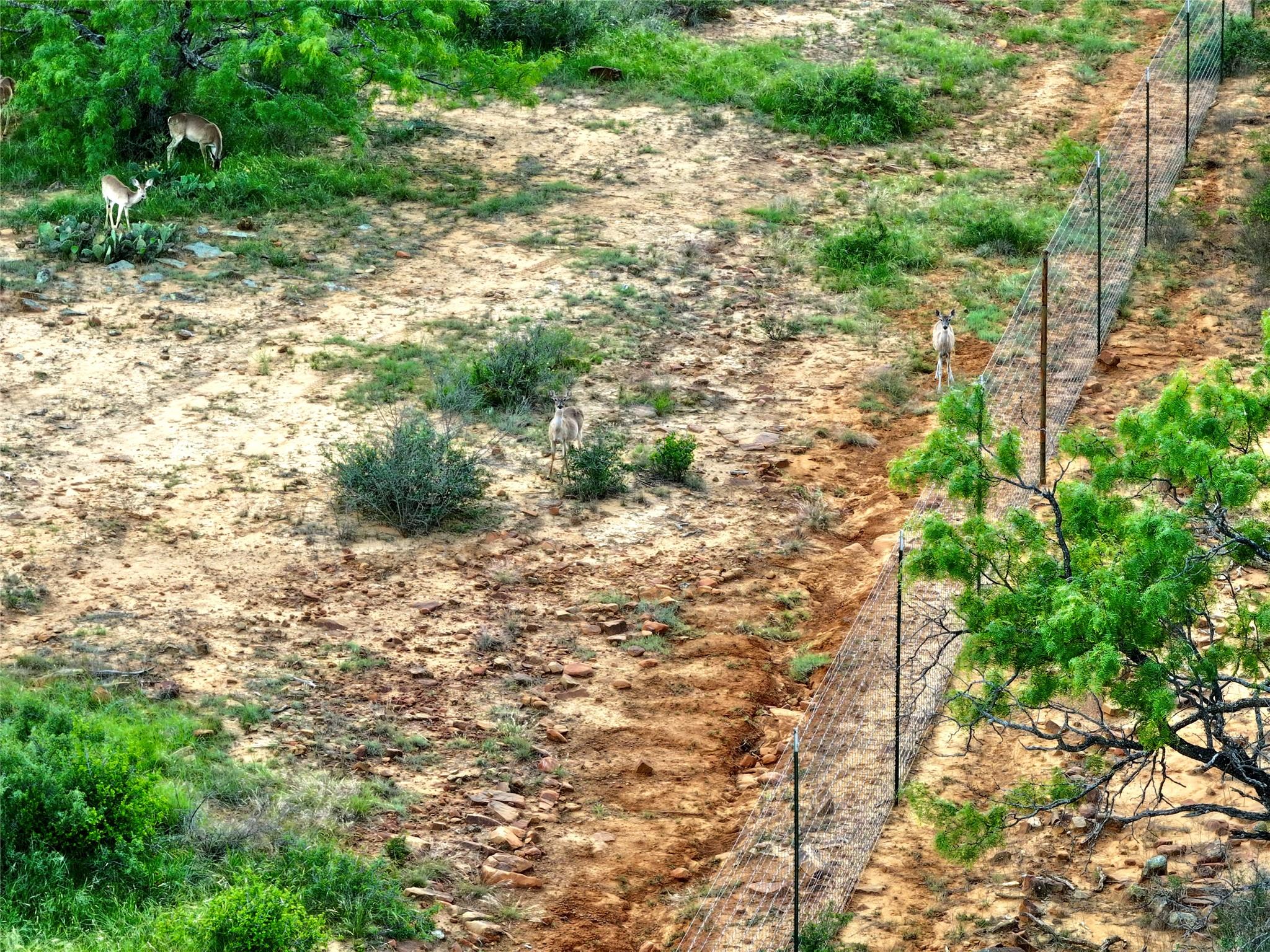 392 County Road 230, San Saba, TX 76877
