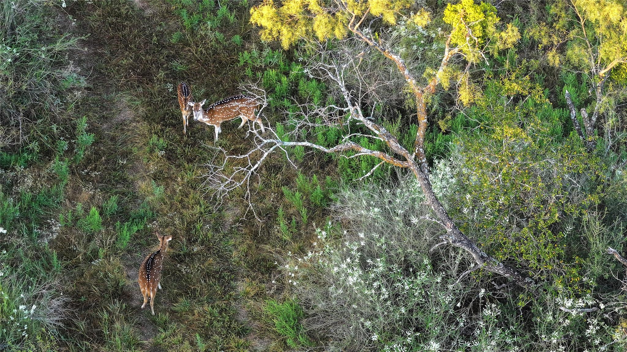 392 County Road 230, San Saba, TX 76877