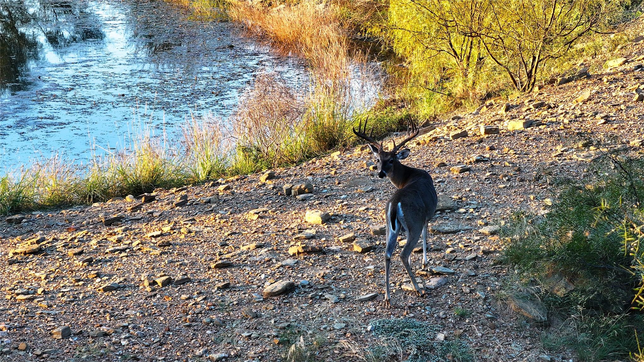 392 County Road 230, San Saba, TX 76877