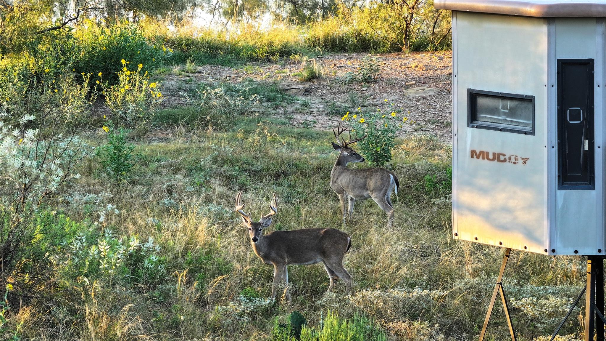 392 County Road 230, San Saba, TX 76877