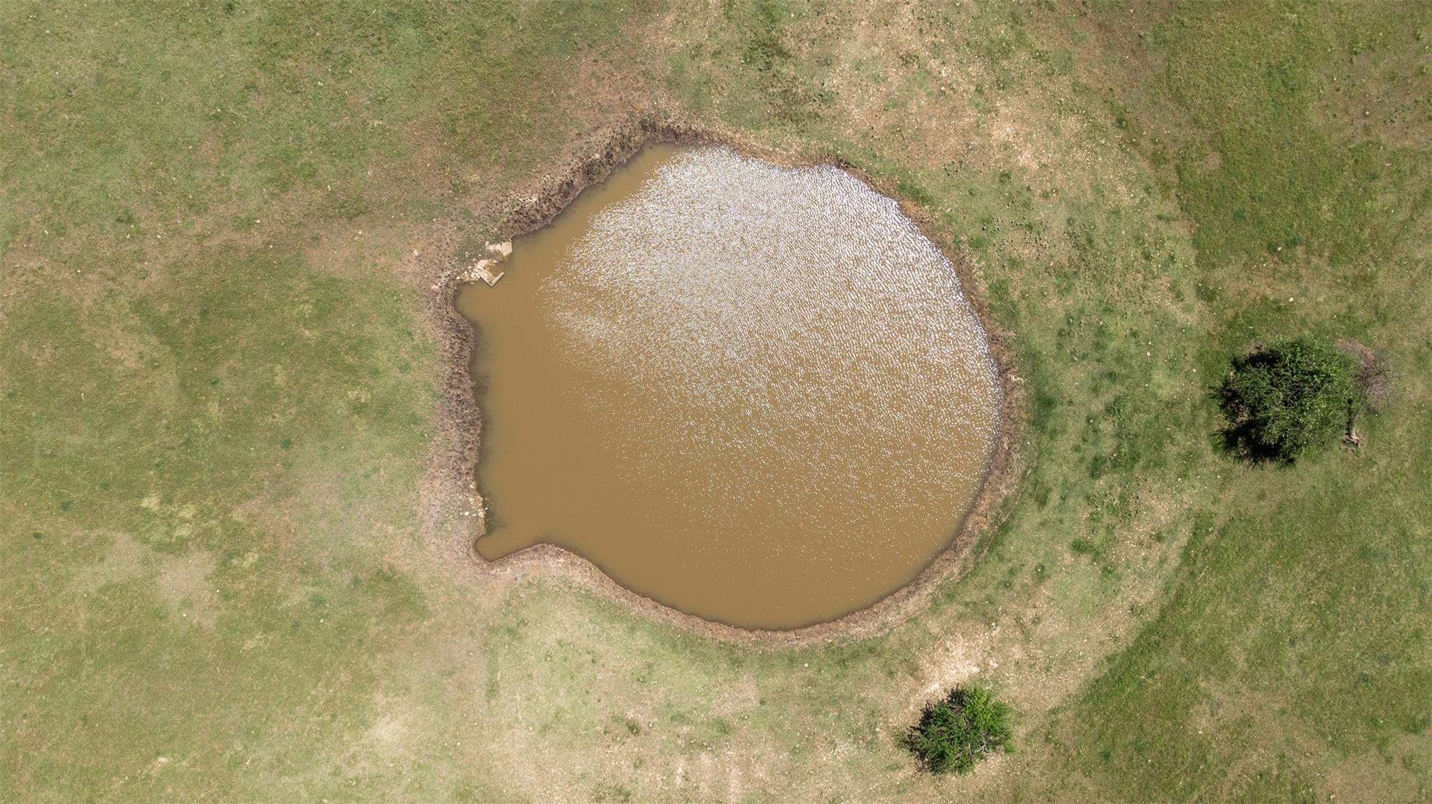 17 Acres Smith Dairy Rd, Belton, TX 76513