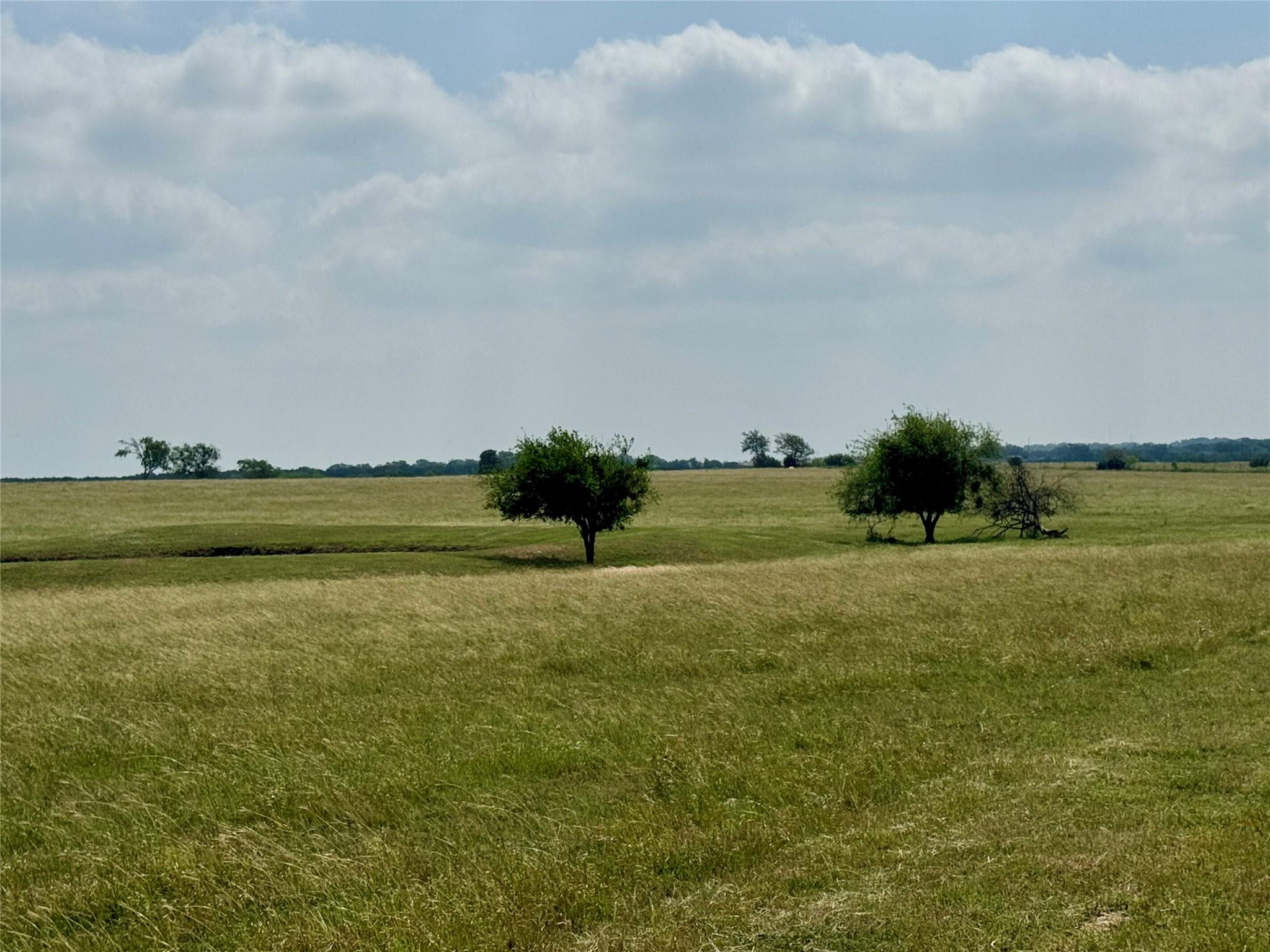 17 Acres Smith Dairy Rd, Belton, TX 76513
