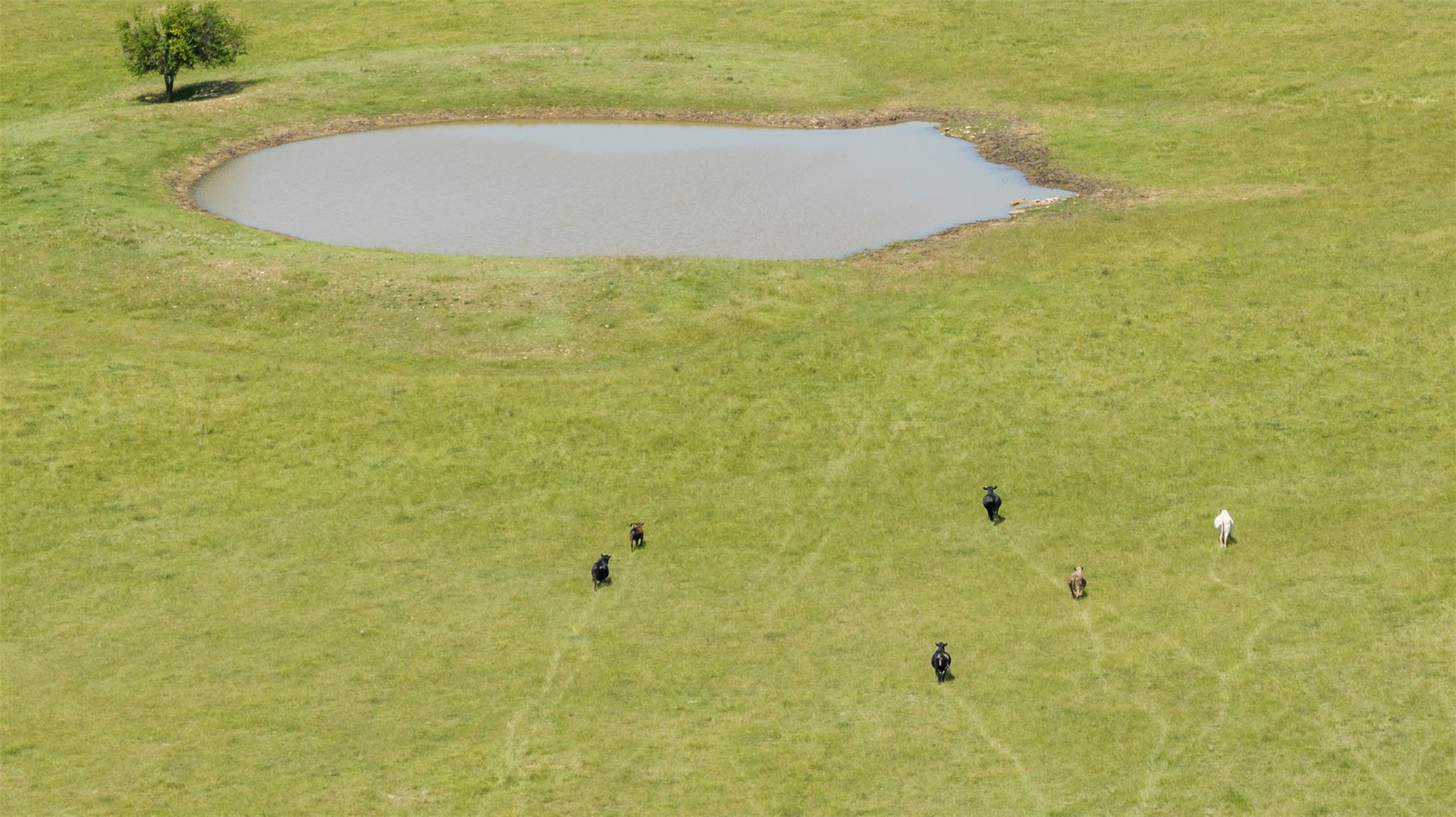 17 Acres Smith Dairy Rd, Belton, TX 76513