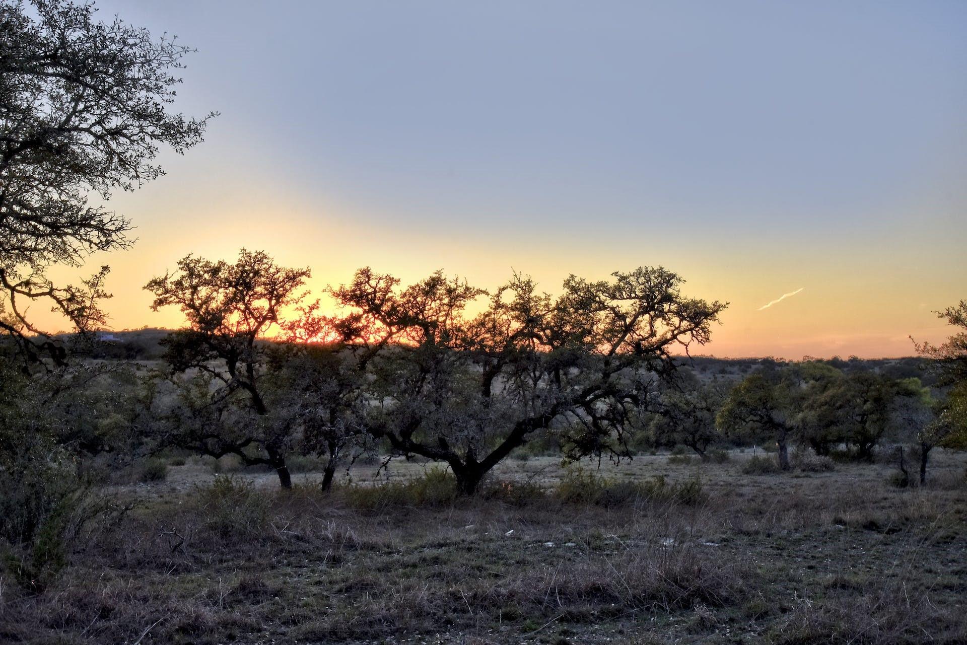 343 Cattle Creek Dr, Johnson City, TX 78636