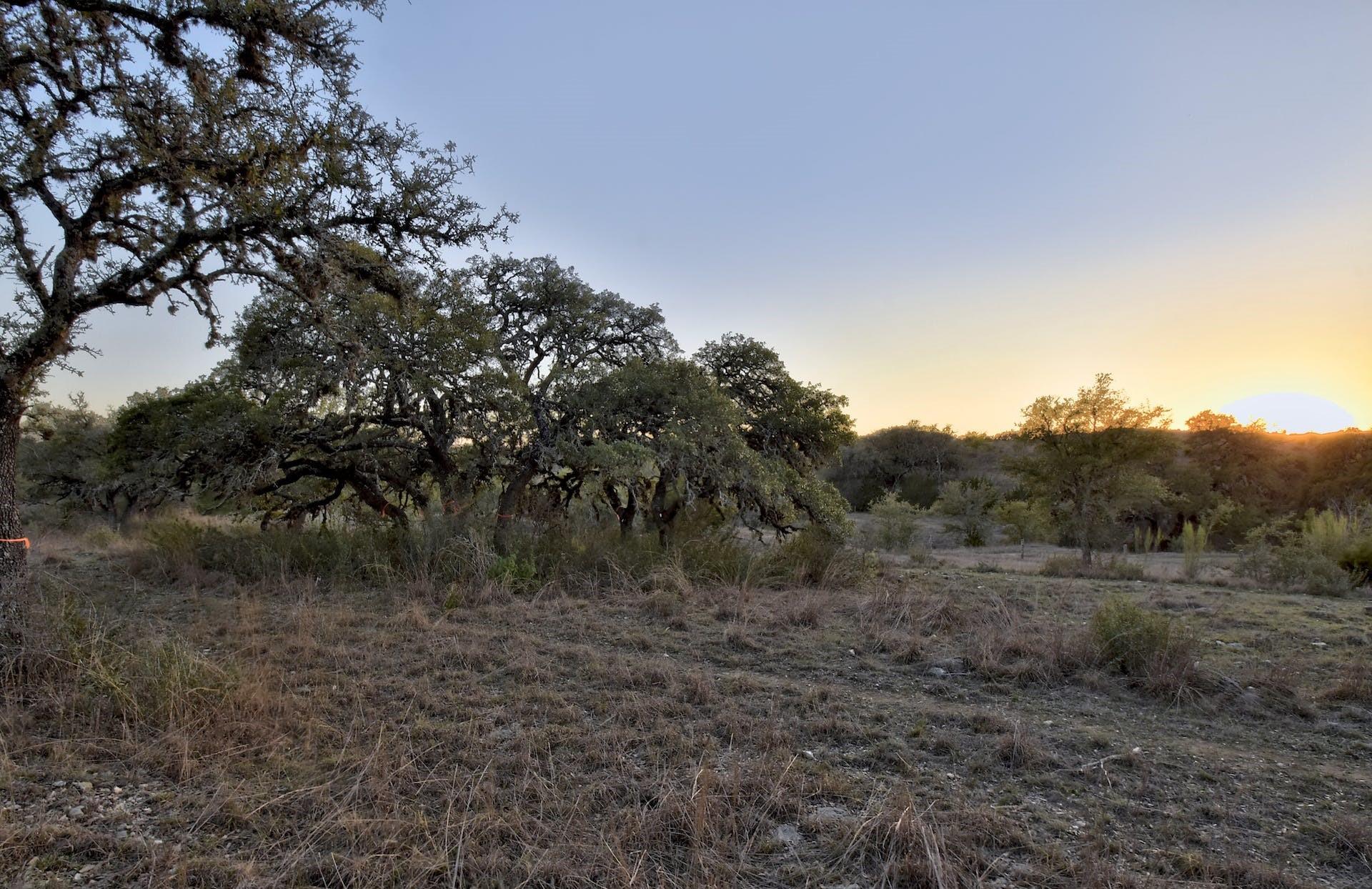343 Cattle Creek Dr, Johnson City, TX 78636