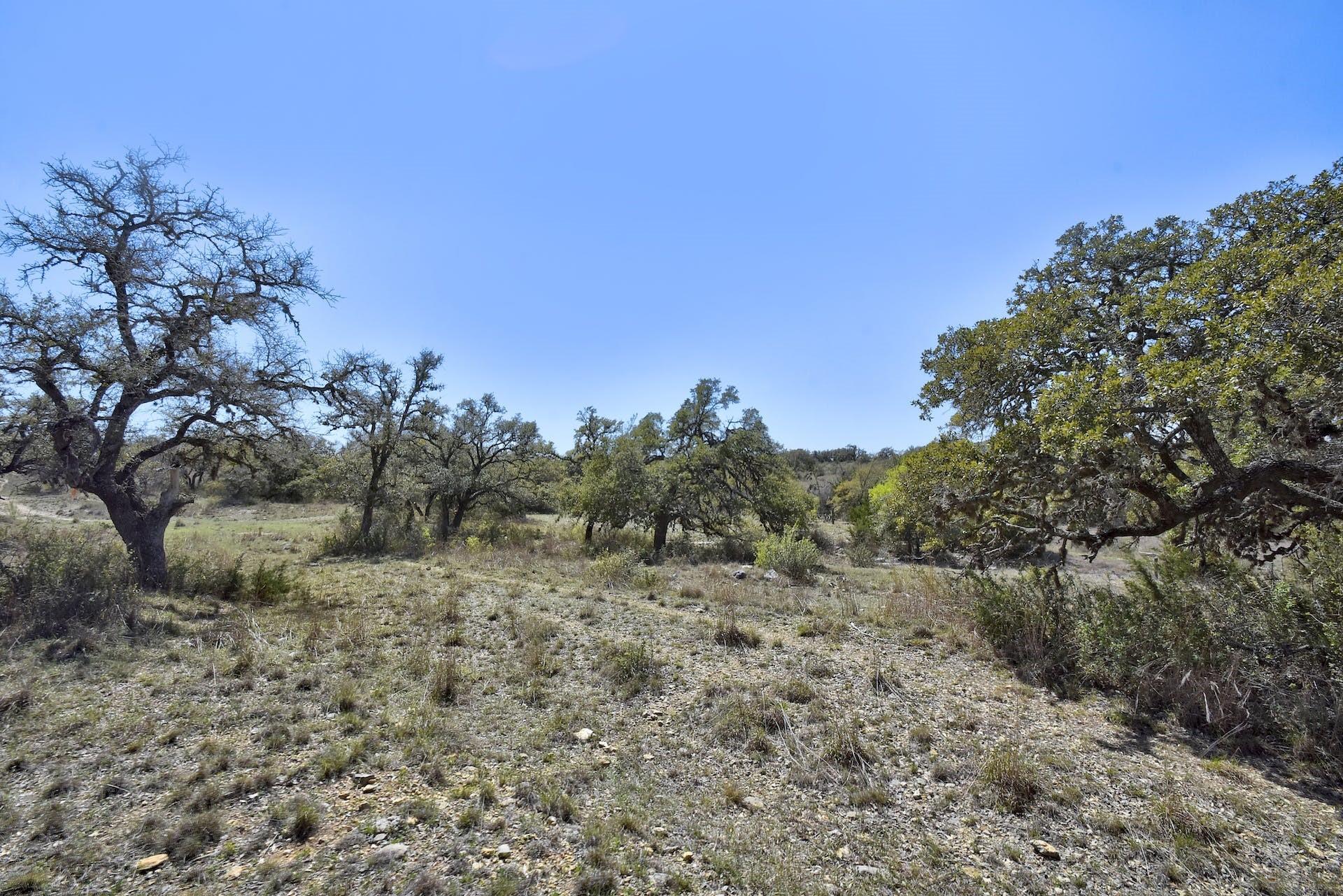 343 Cattle Creek Dr, Johnson City, TX 78636