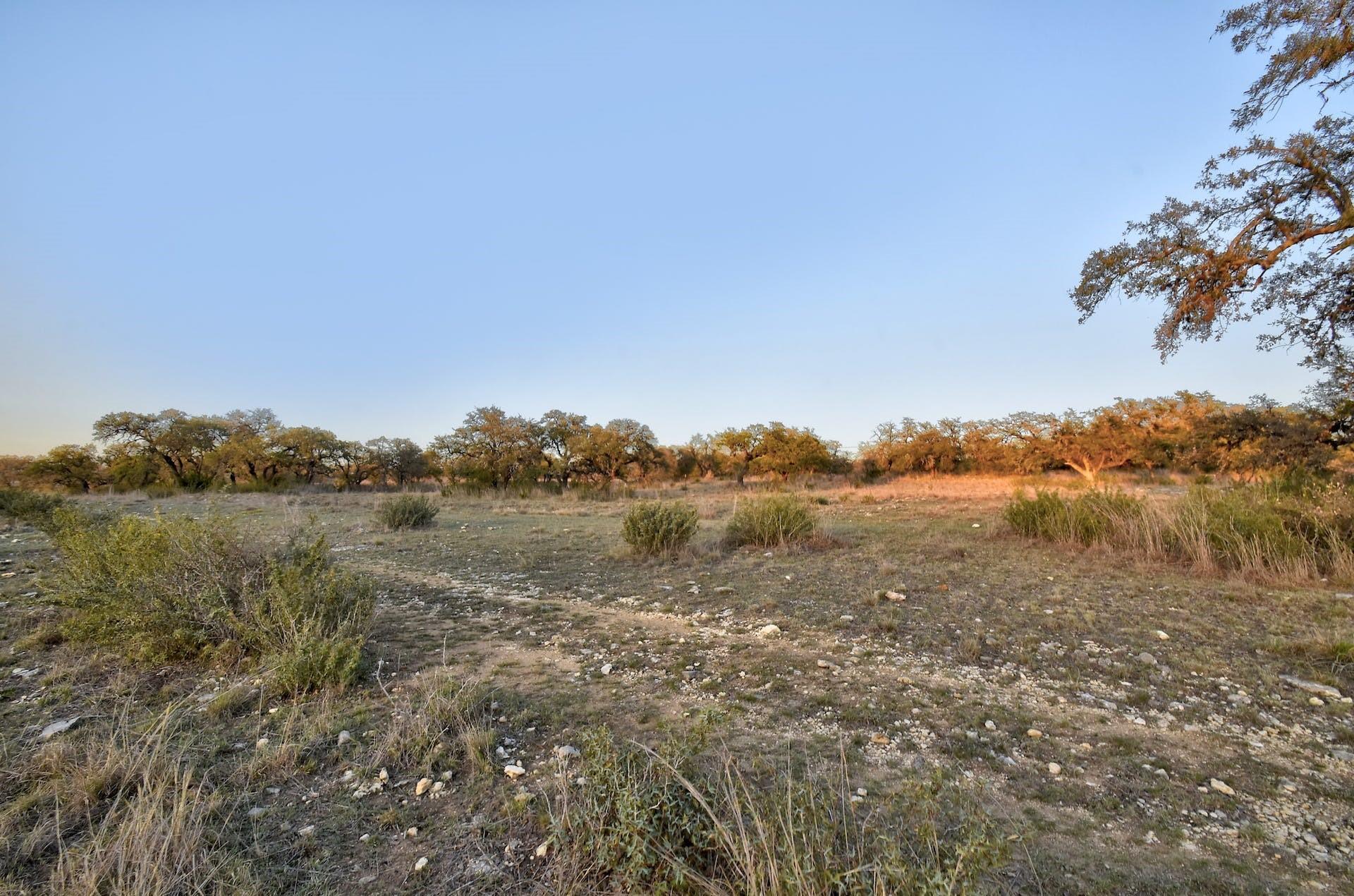 343 Cattle Creek Dr, Johnson City, TX 78636