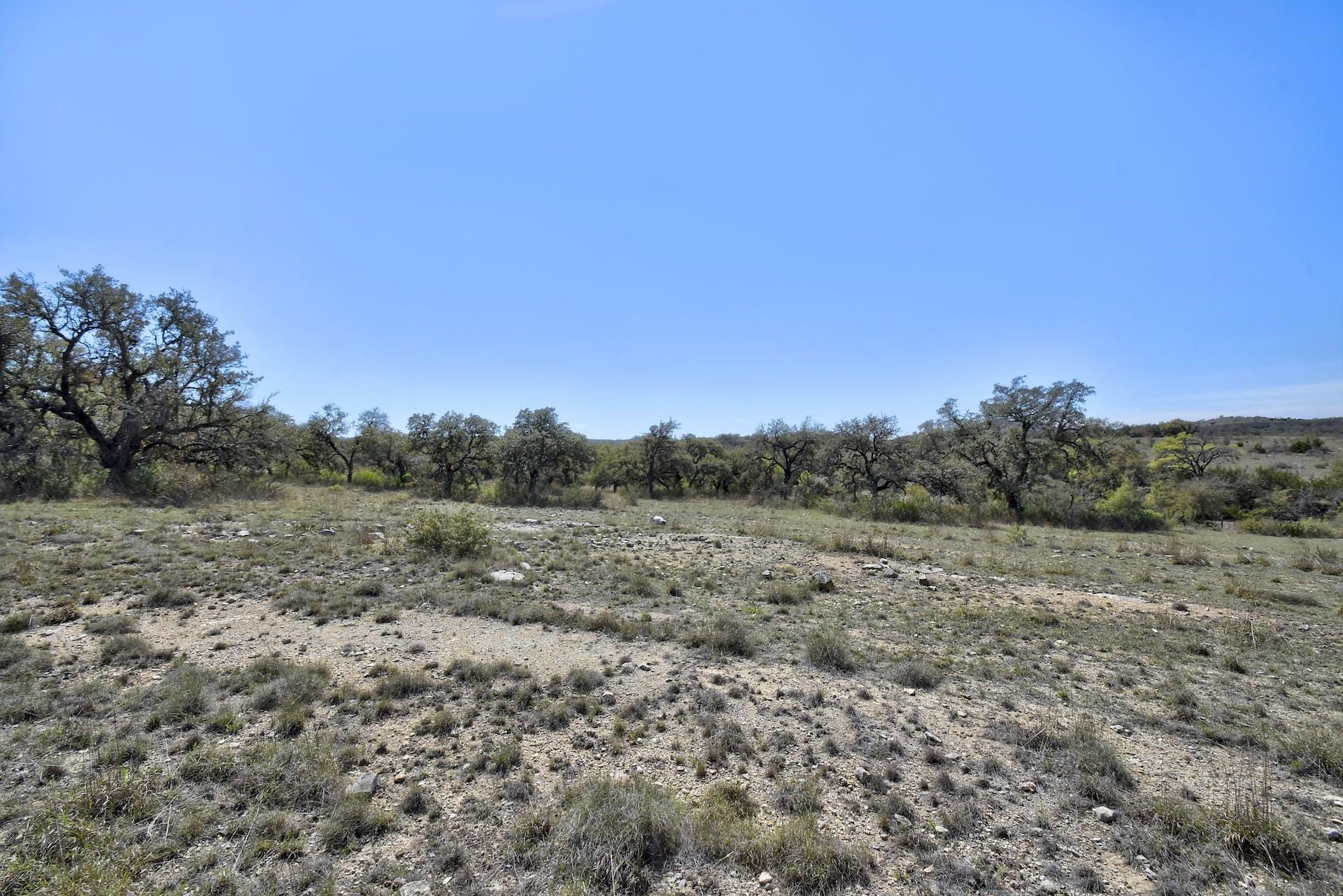 343 Cattle Creek Dr, Johnson City, TX 78636