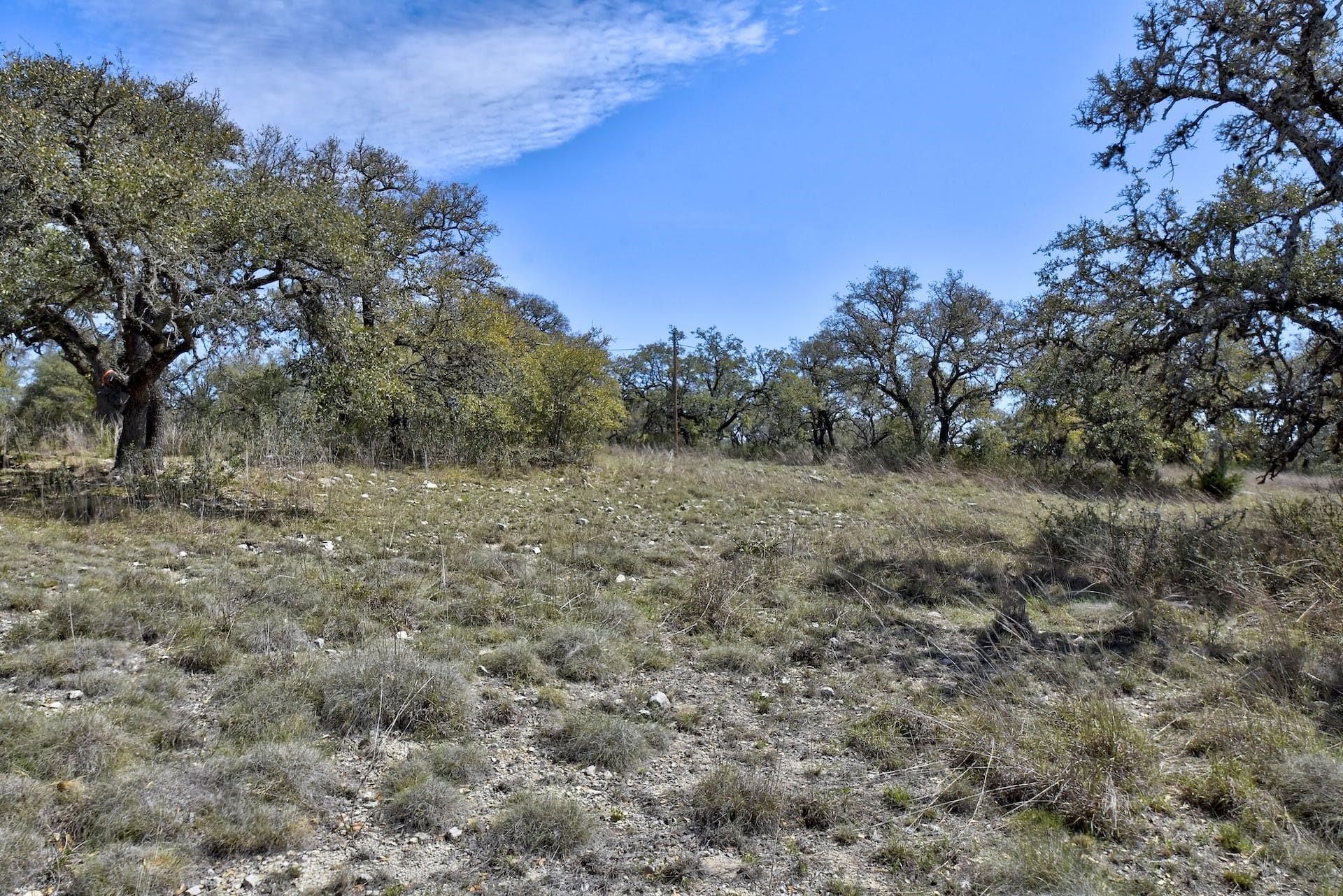 343 Cattle Creek Dr, Johnson City, TX 78636