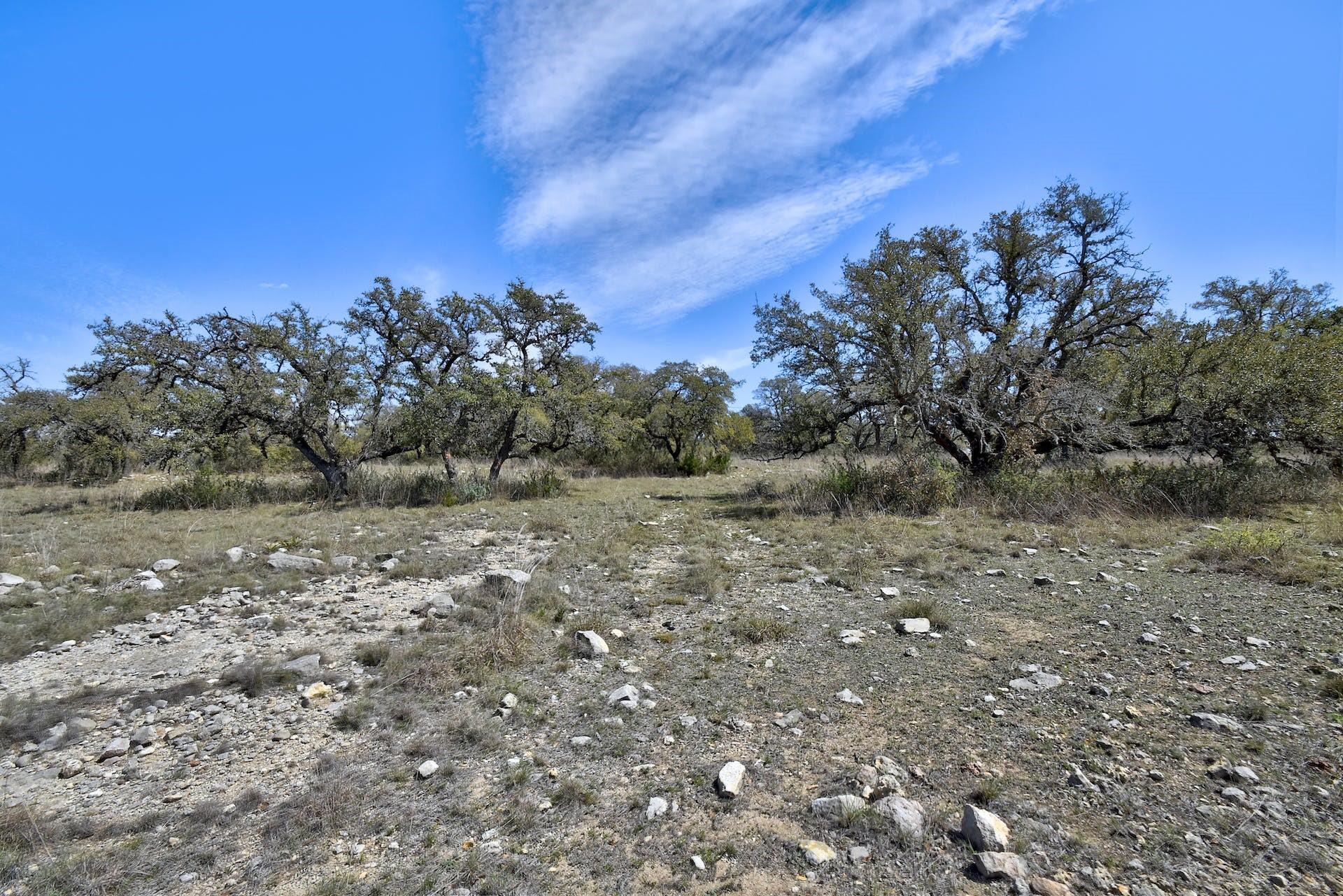 343 Cattle Creek Dr, Johnson City, TX 78636