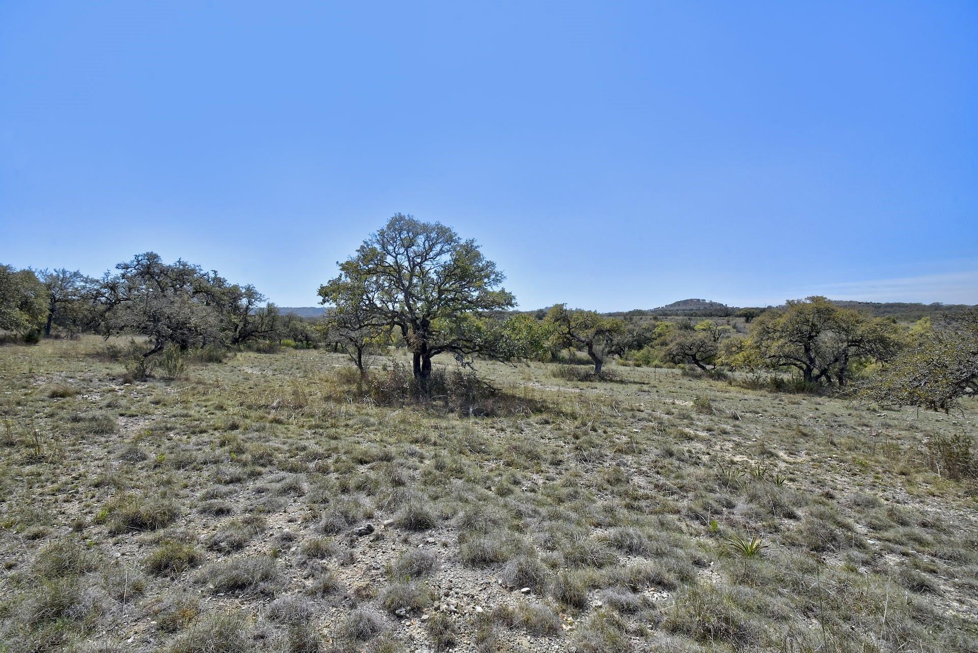 343 Cattle Creek Dr, Johnson City, TX 78636