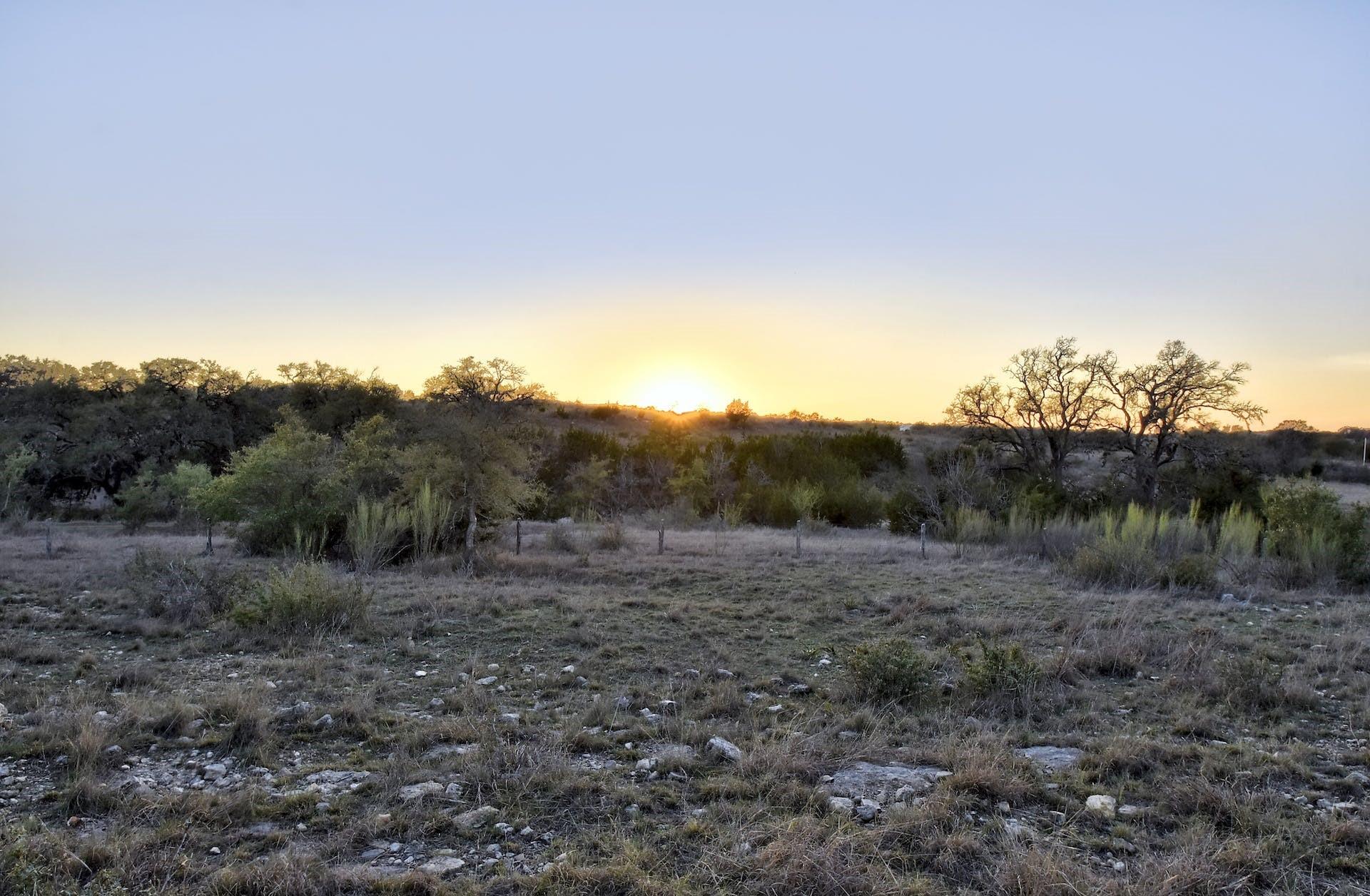 343 Cattle Creek Dr, Johnson City, TX 78636