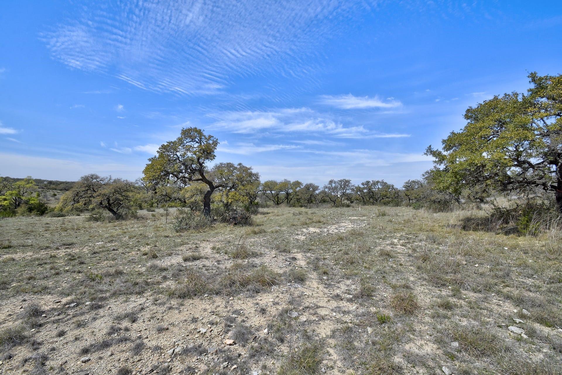 343 Cattle Creek Dr, Johnson City, TX 78636