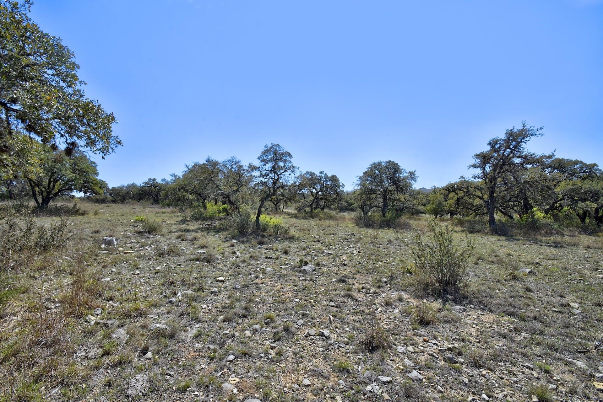 343 Cattle Creek Dr, Johnson City, TX 78636