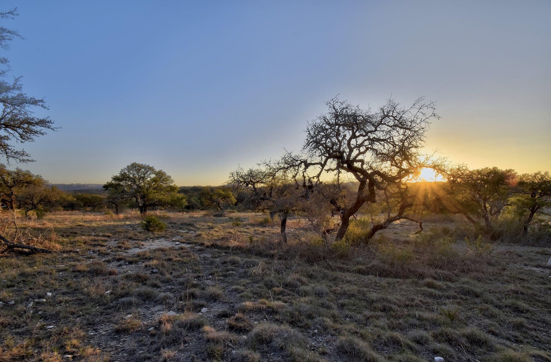 343 Cattle Creek Dr, Johnson City, TX 78636