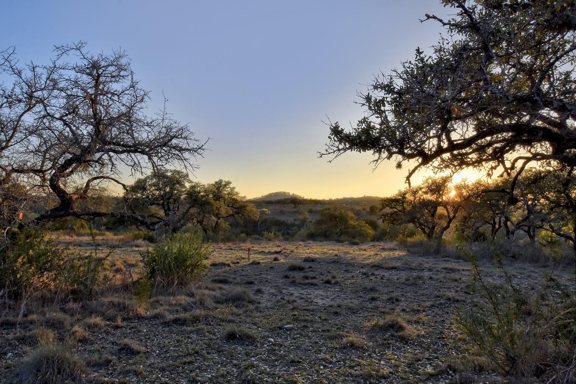 343 Cattle Creek Dr, Johnson City, TX 78636