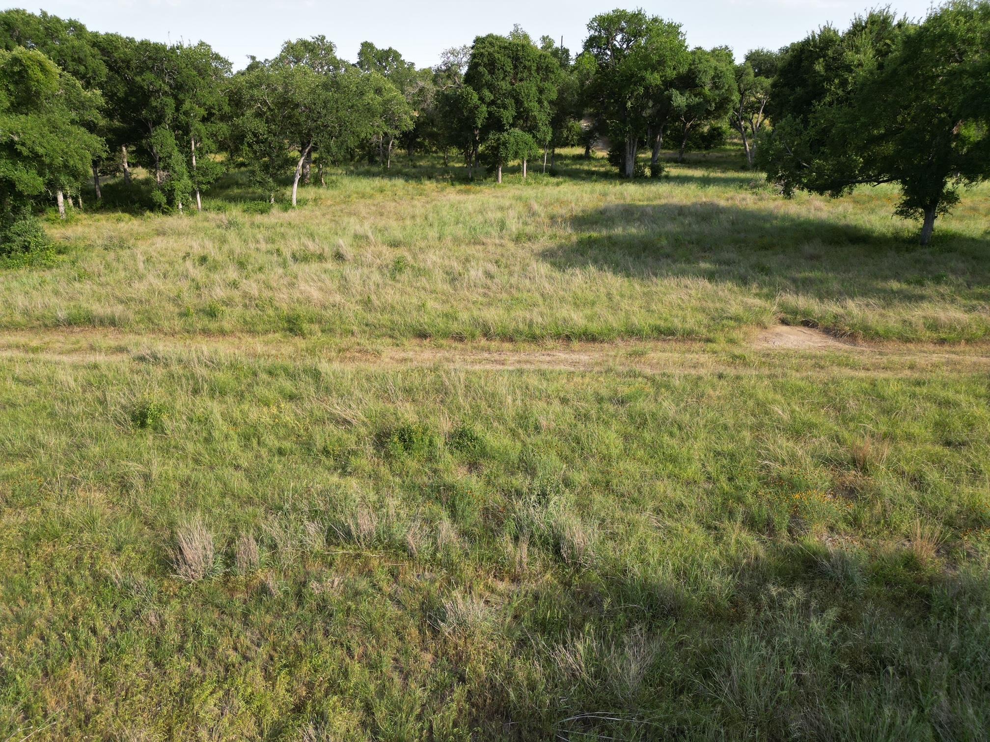 216 Serenity Dr, Liberty Hill, TX 78642