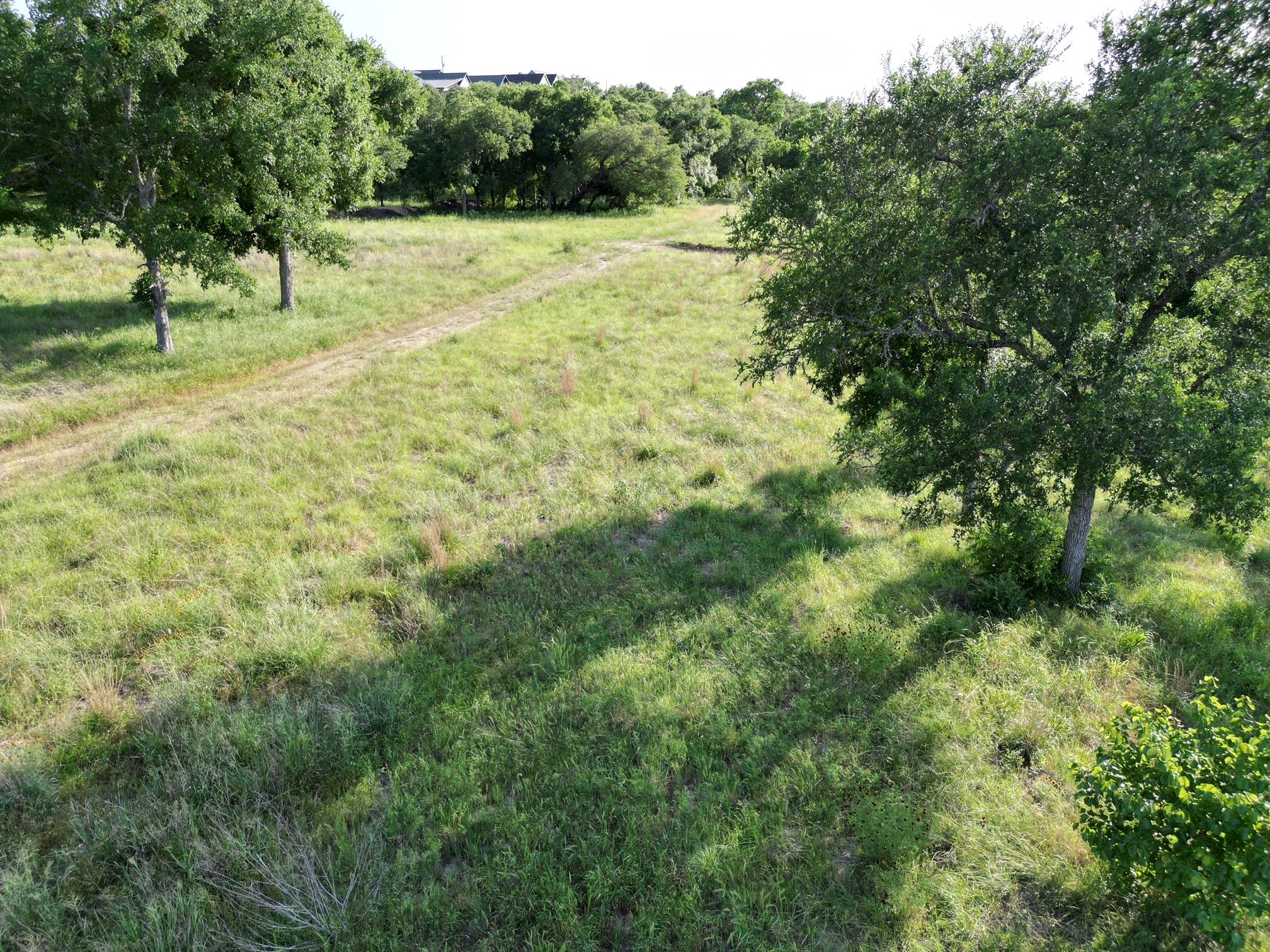 216 Serenity Dr, Liberty Hill, TX 78642