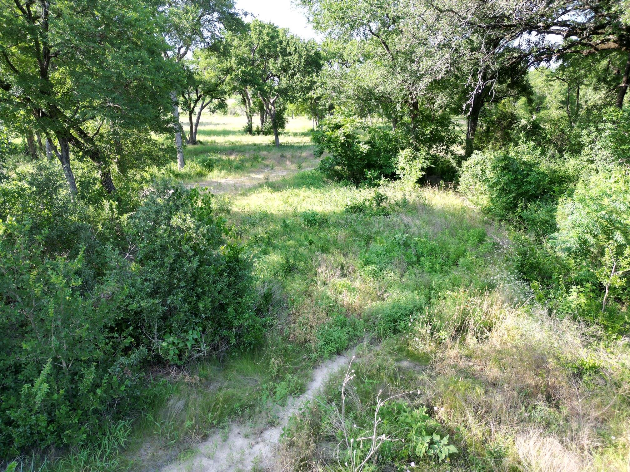 216 Serenity Dr, Liberty Hill, TX 78642