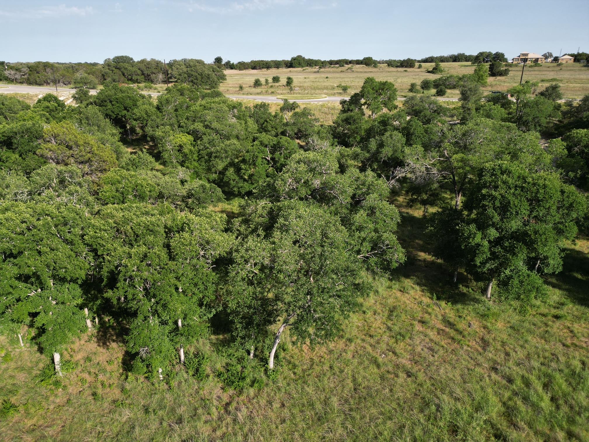 216 Serenity Dr, Liberty Hill, TX 78642