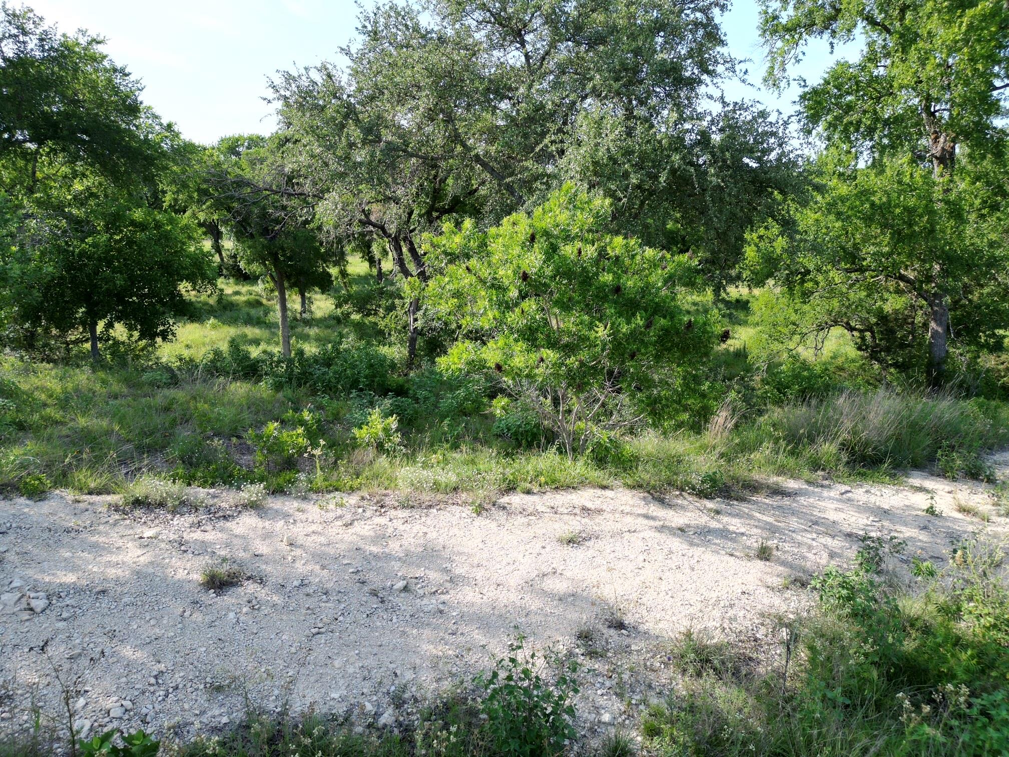 216 Serenity Dr, Liberty Hill, TX 78642