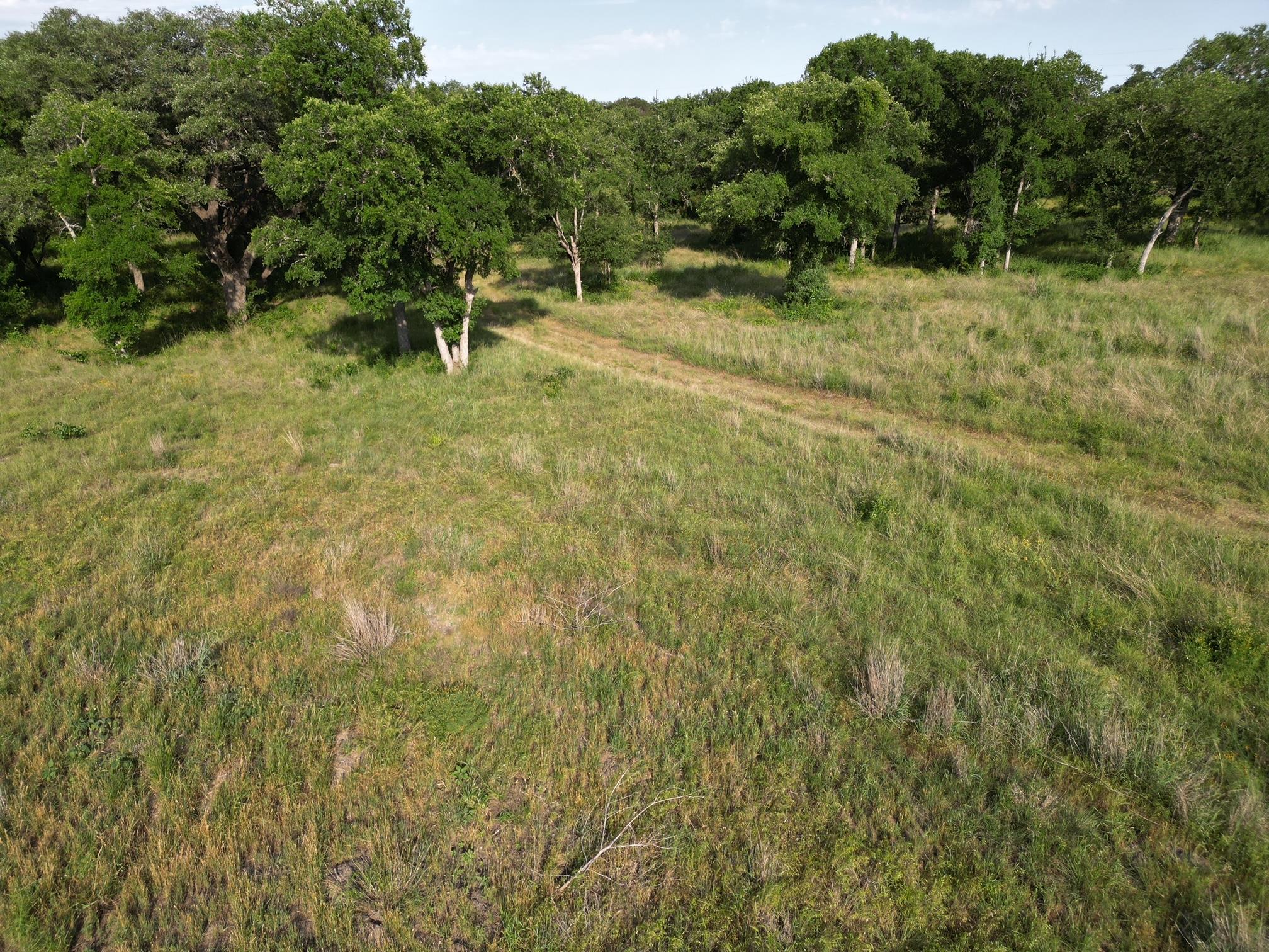 216 Serenity Dr, Liberty Hill, TX 78642