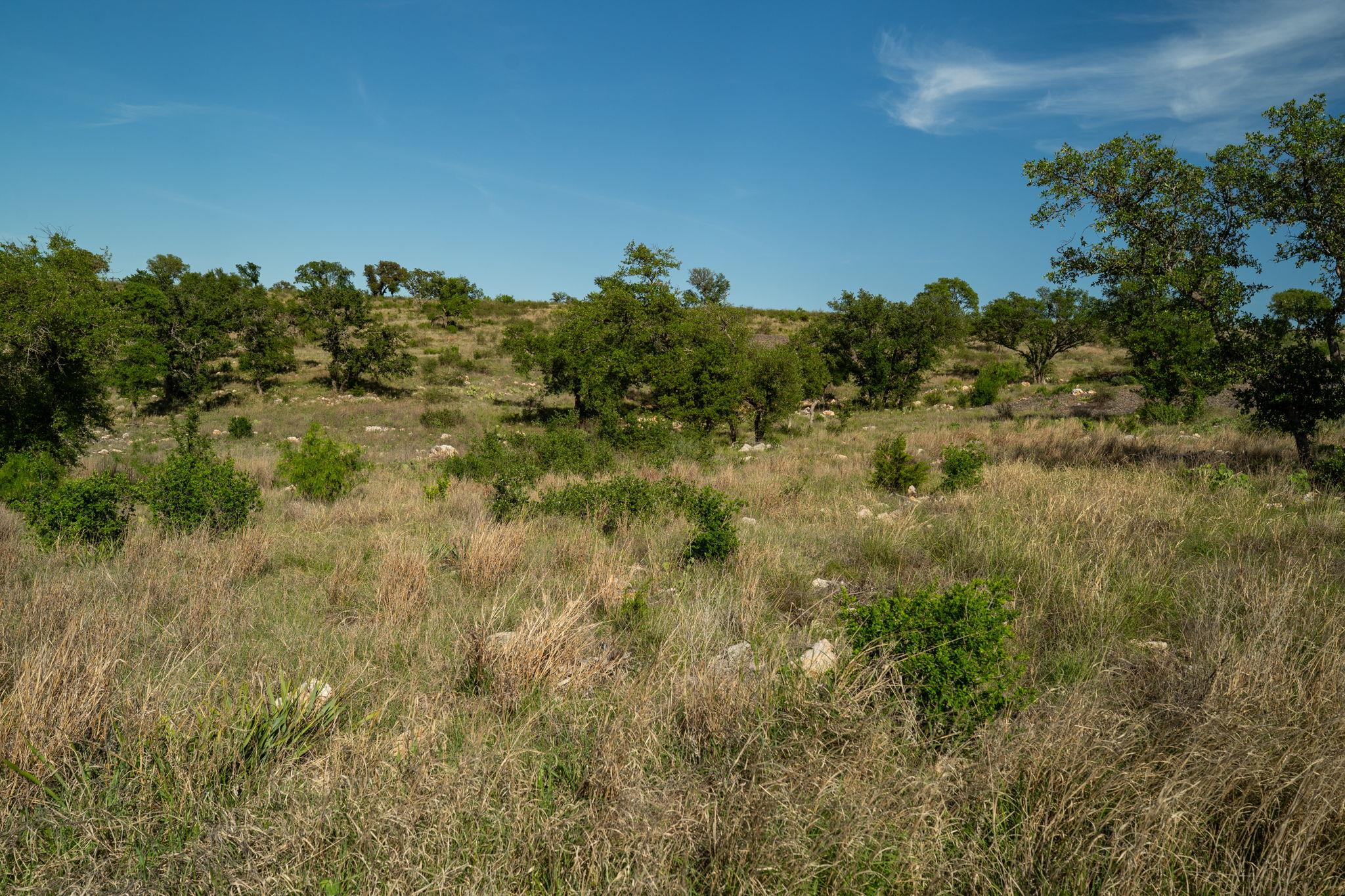 Lot 202 TBD Westridge Way, Big Creek Ranch, Kingsland, TX 78639