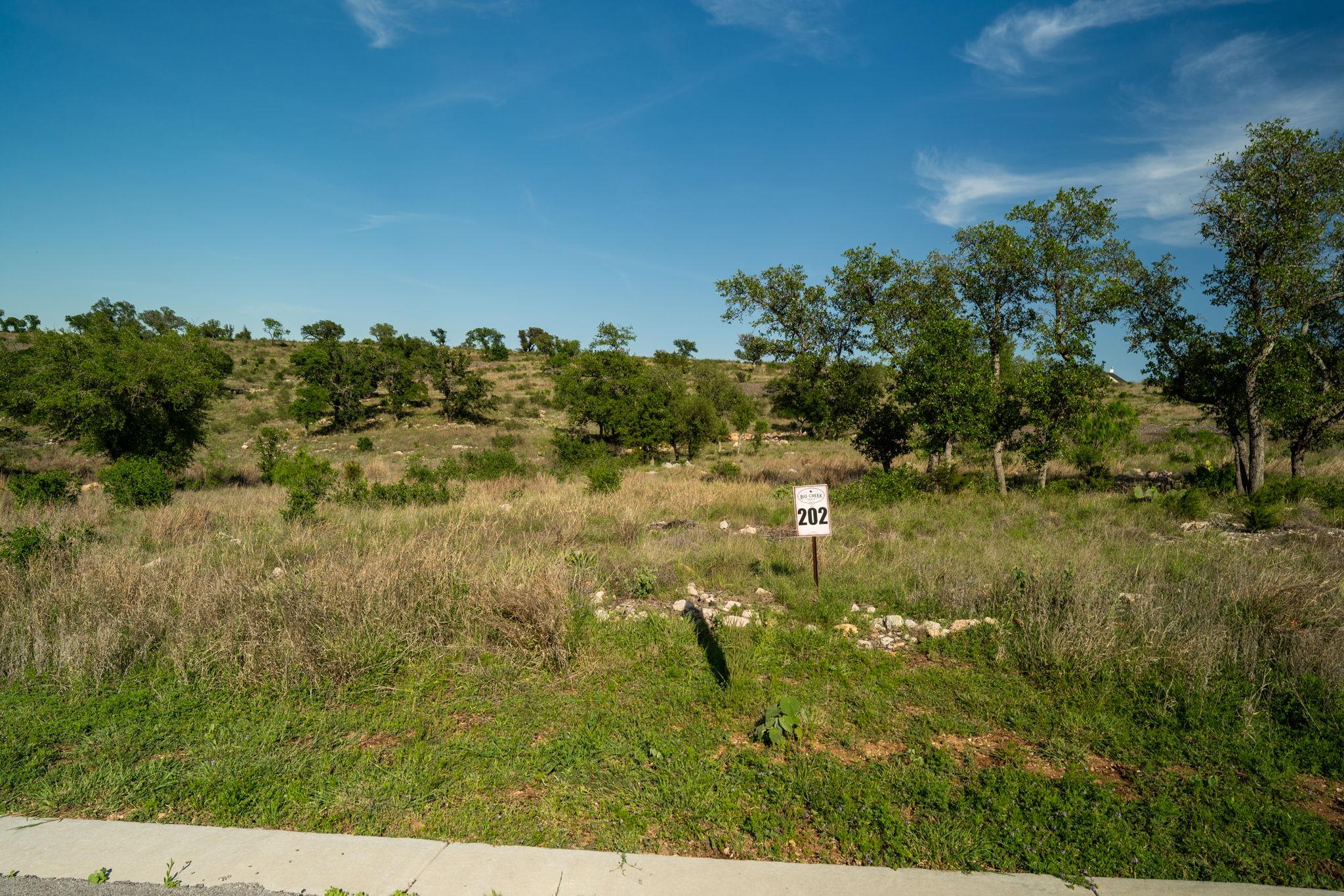 Lot 202 TBD Westridge Way, Big Creek Ranch, Kingsland, TX 78639