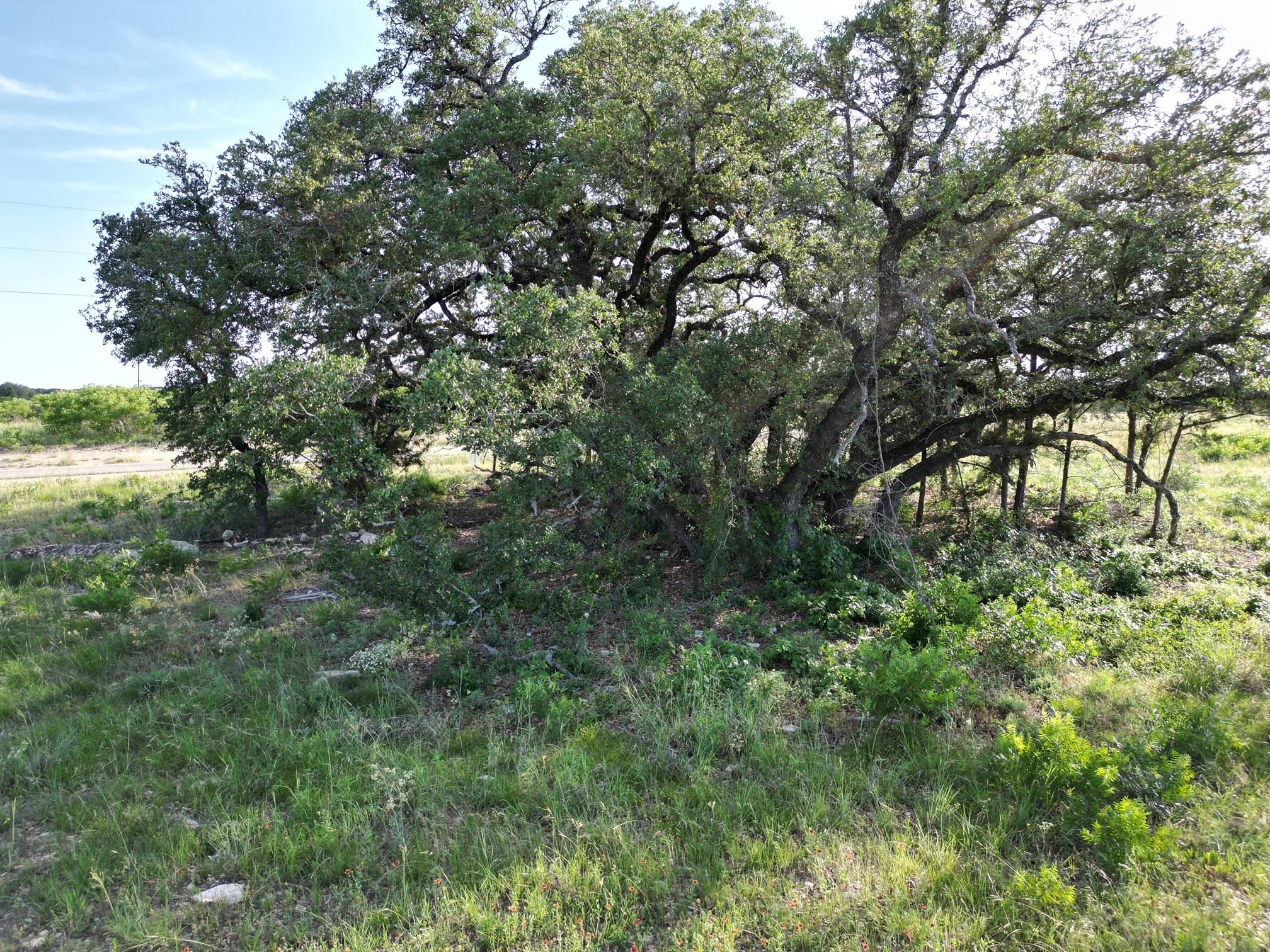 Lot 20 Serenity Dr, Bertram, TX 78605