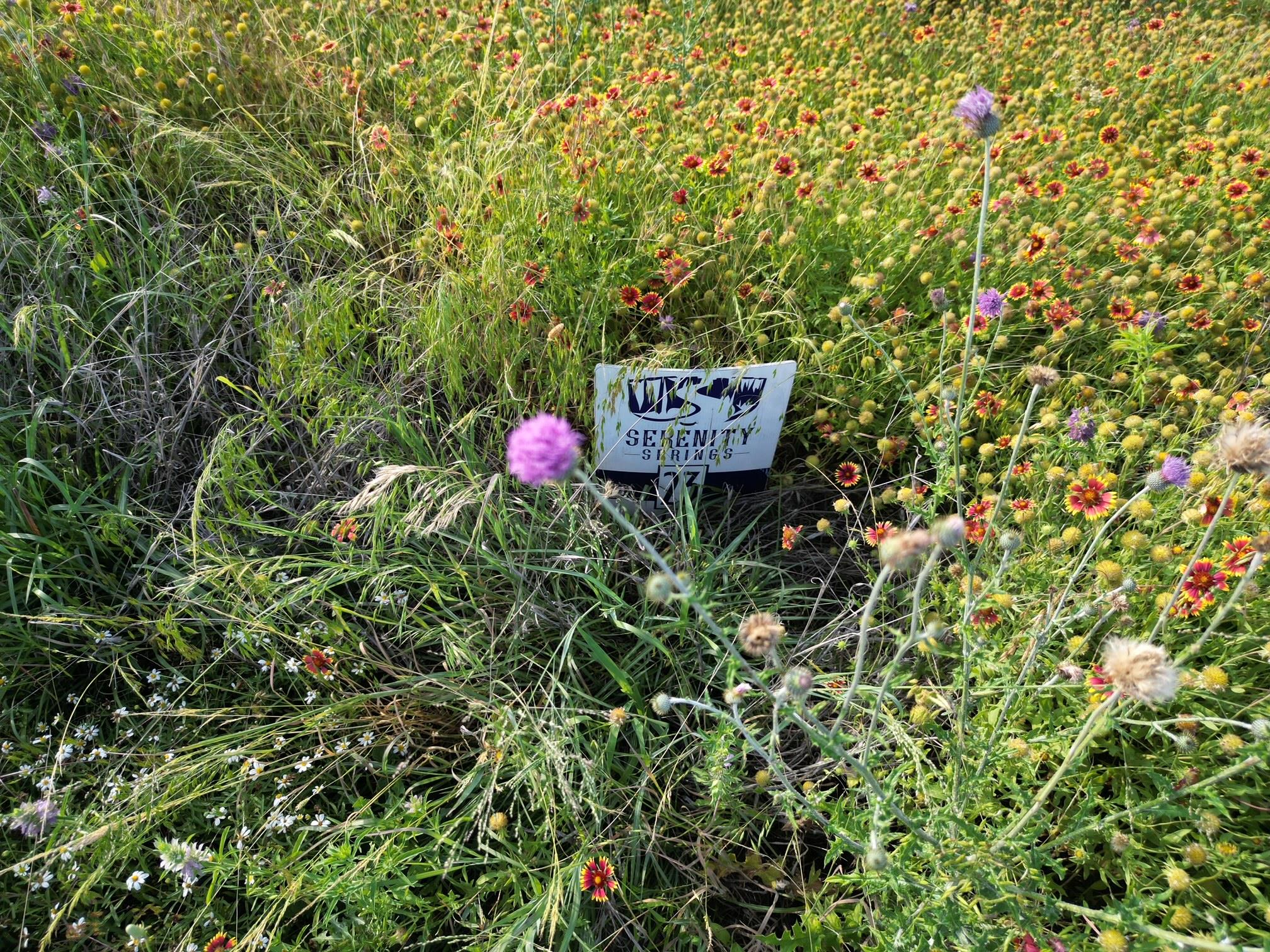 Lot 23 Serenity Dr, Bertram, TX 78605