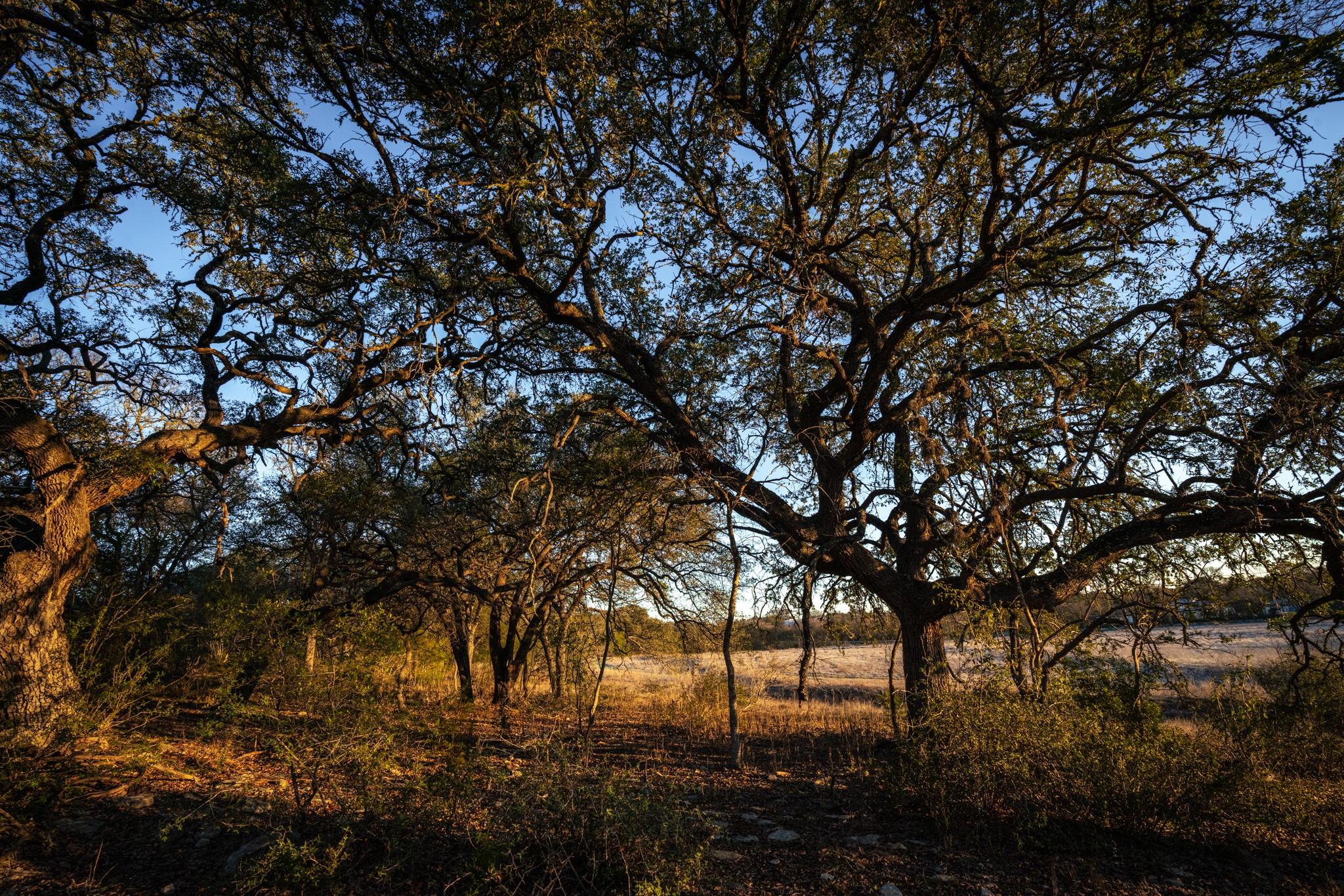 000 Ranch Road 12, Dripping Springs, TX 78620