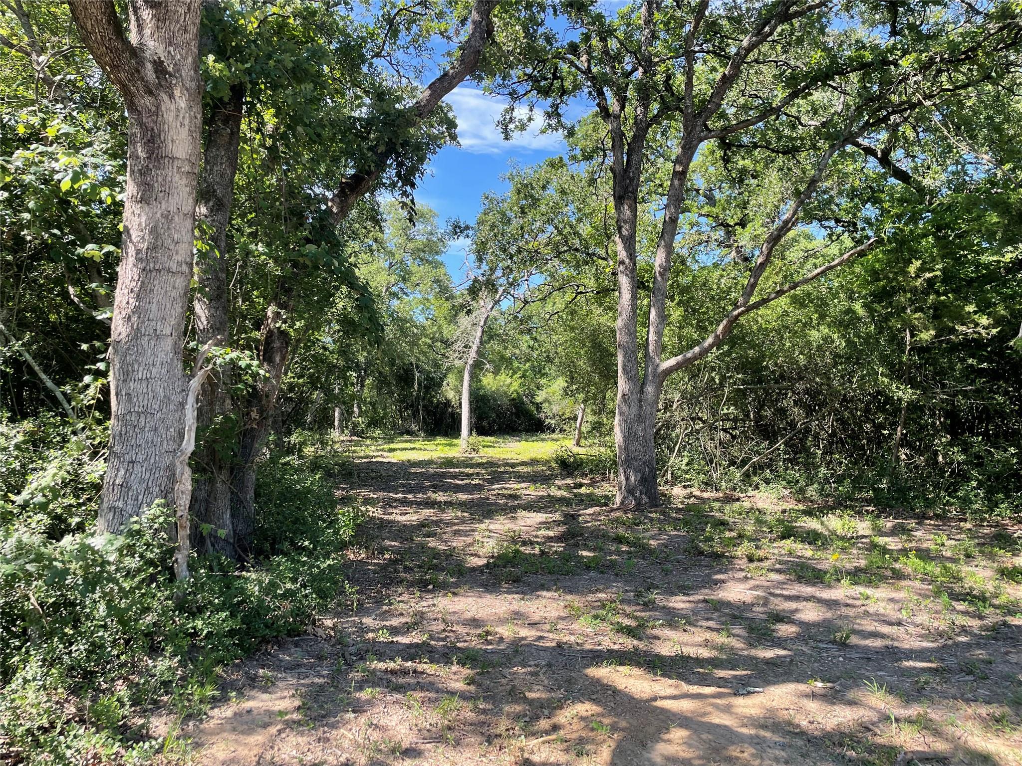 9264 Stetson Dr, Hilltop Lakes, TX 77871