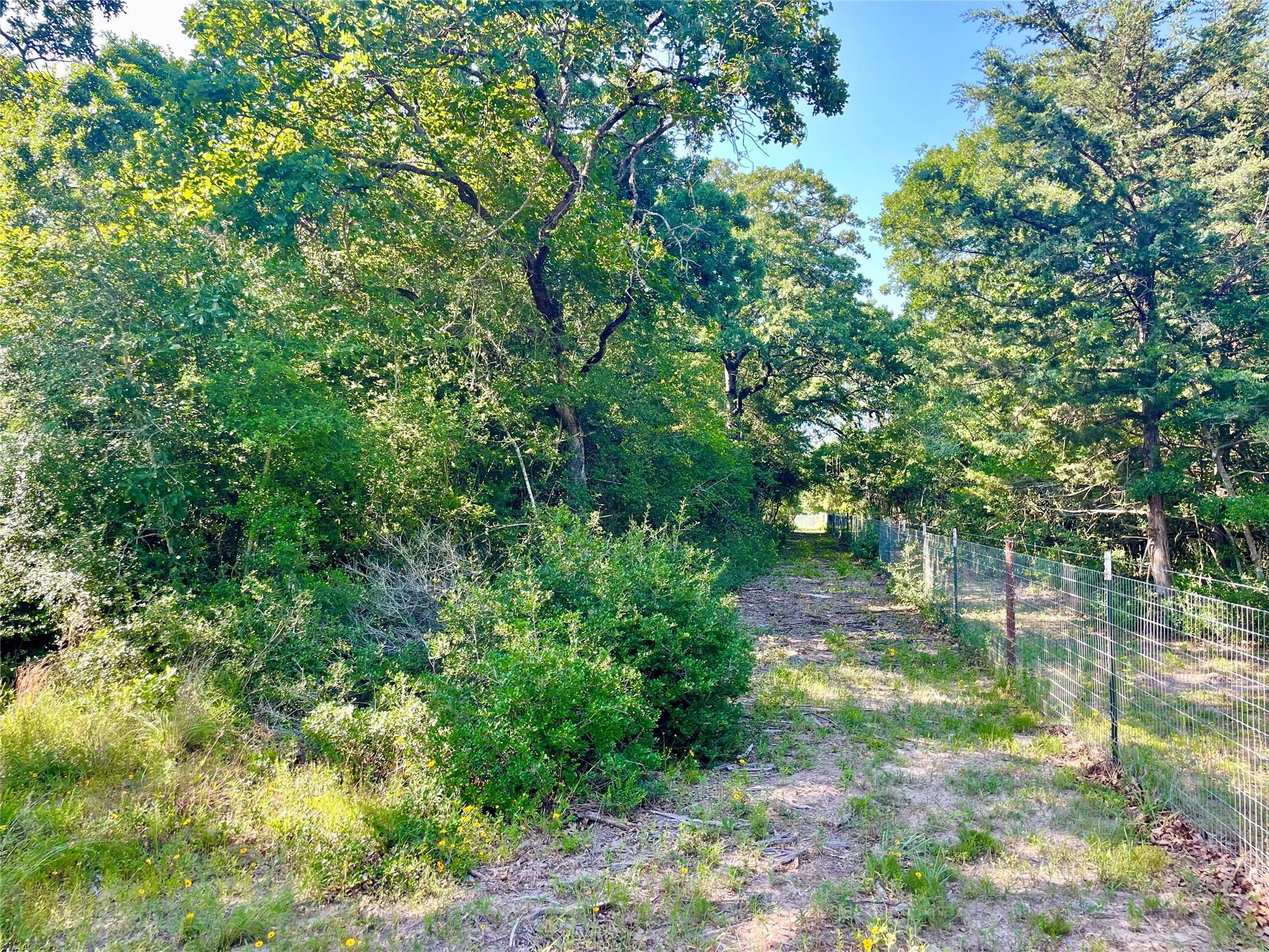 9264 Stetson Dr, Hilltop Lakes, TX 77871