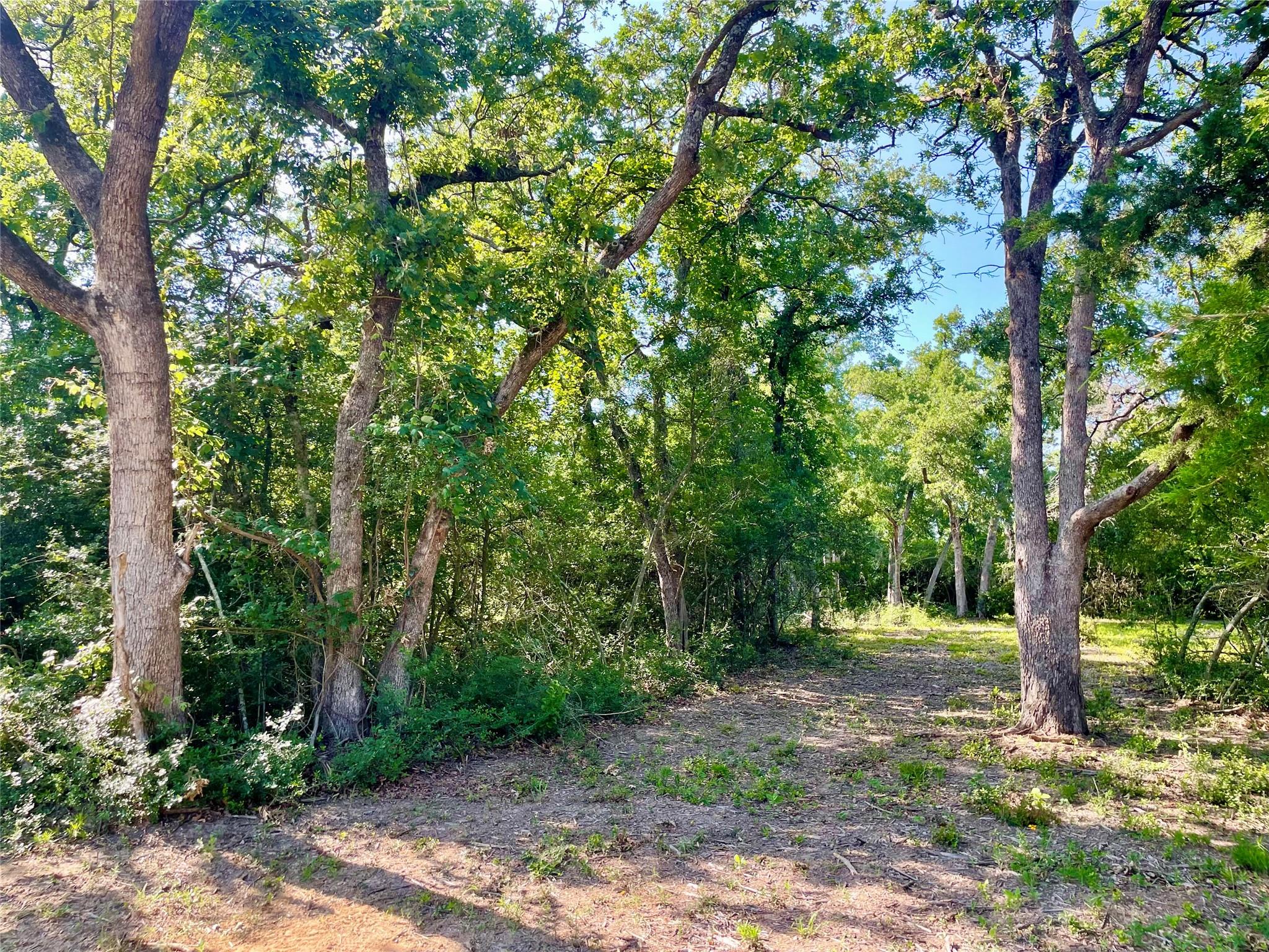 9264 Stetson Dr, Hilltop Lakes, TX 77871