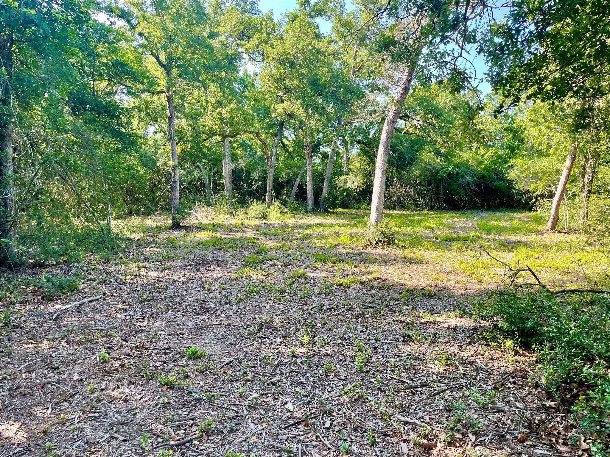 9264 Stetson Dr, Hilltop Lakes, TX 77871