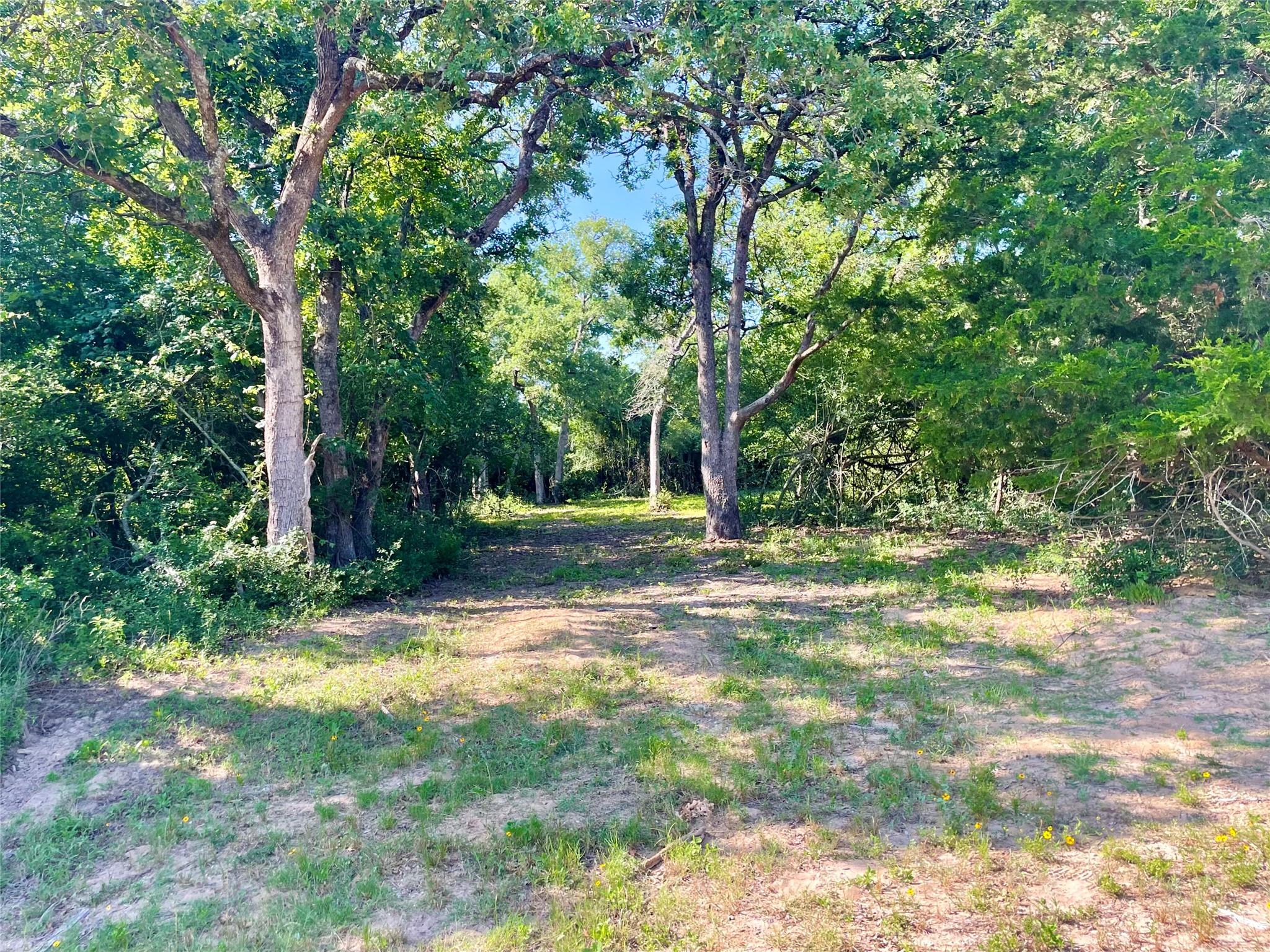 9264 Stetson Dr, Hilltop Lakes, TX 77871