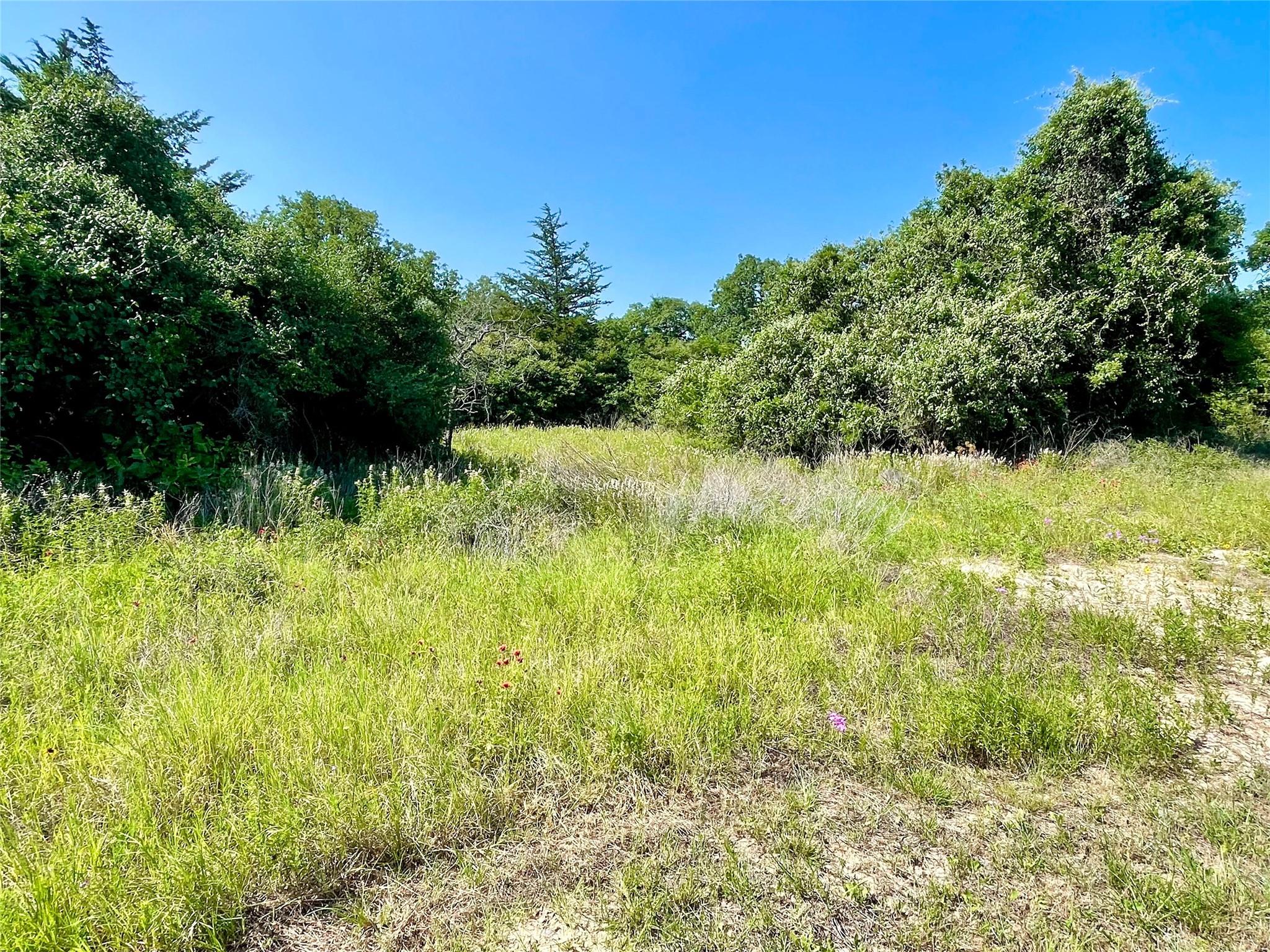 9211 Stetson Dr, Hilltop Lakes, TX 77871