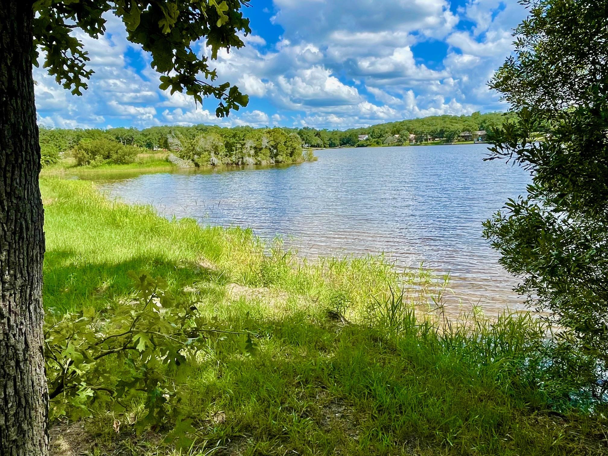 9211 Stetson Dr, Hilltop Lakes, TX 77871