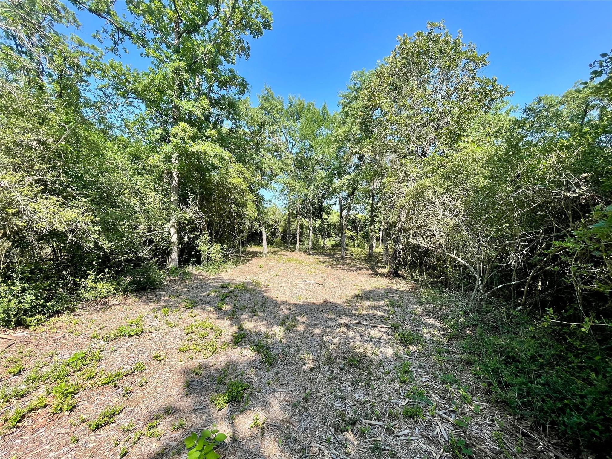 9211 Stetson Dr, Hilltop Lakes, TX 77871