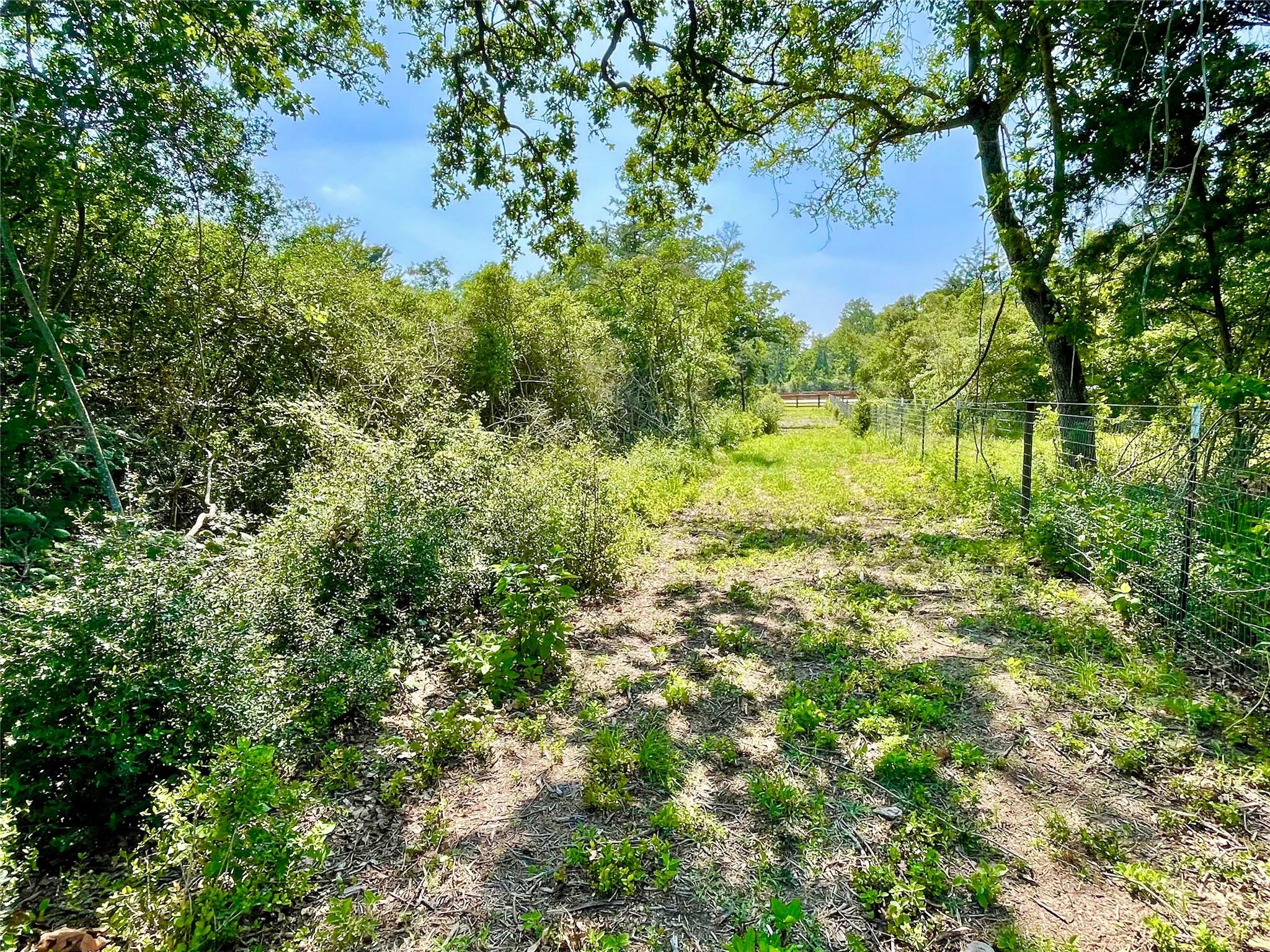 9211 Stetson Dr, Hilltop Lakes, TX 77871