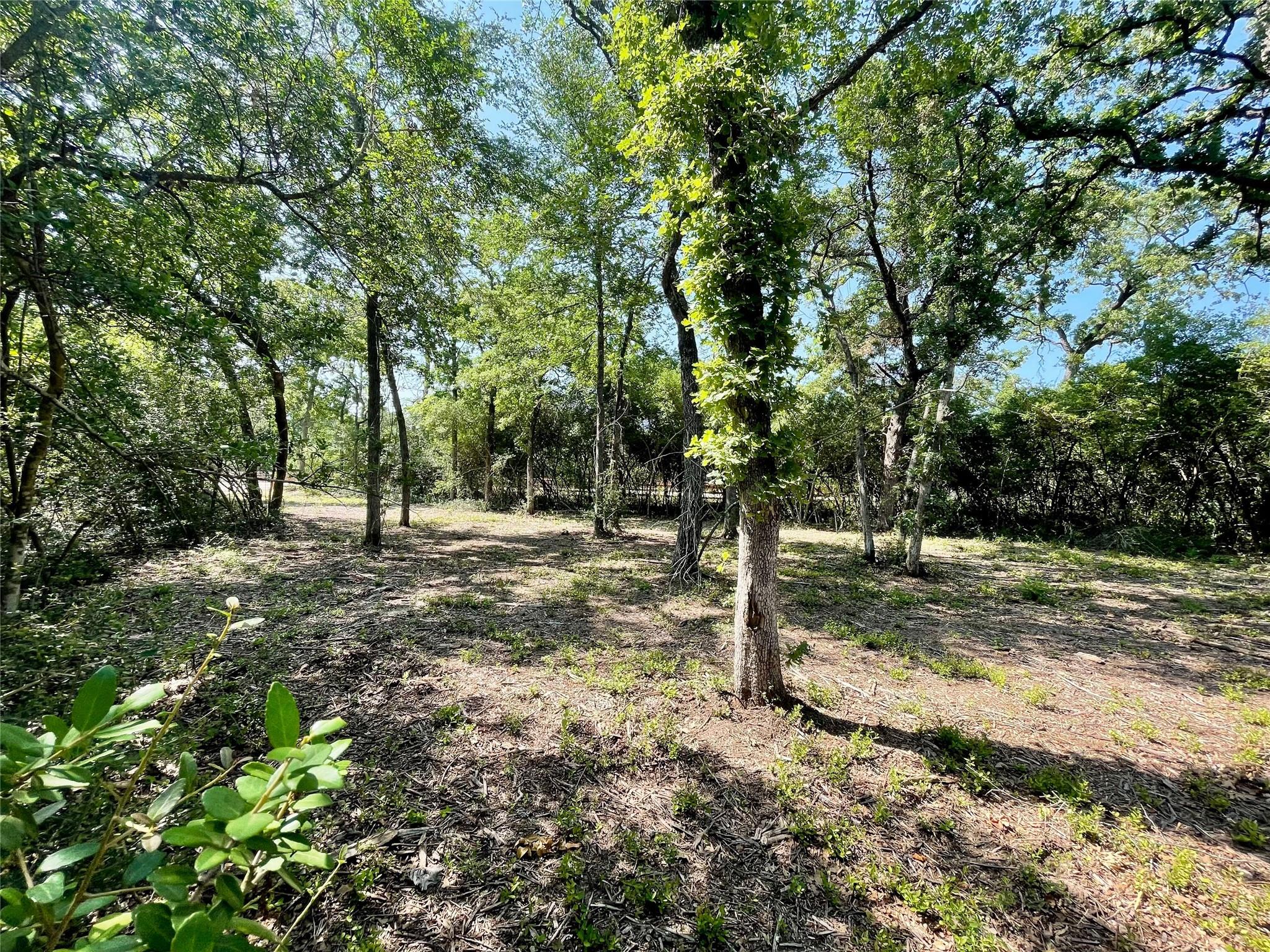 9211 Stetson Dr, Hilltop Lakes, TX 77871